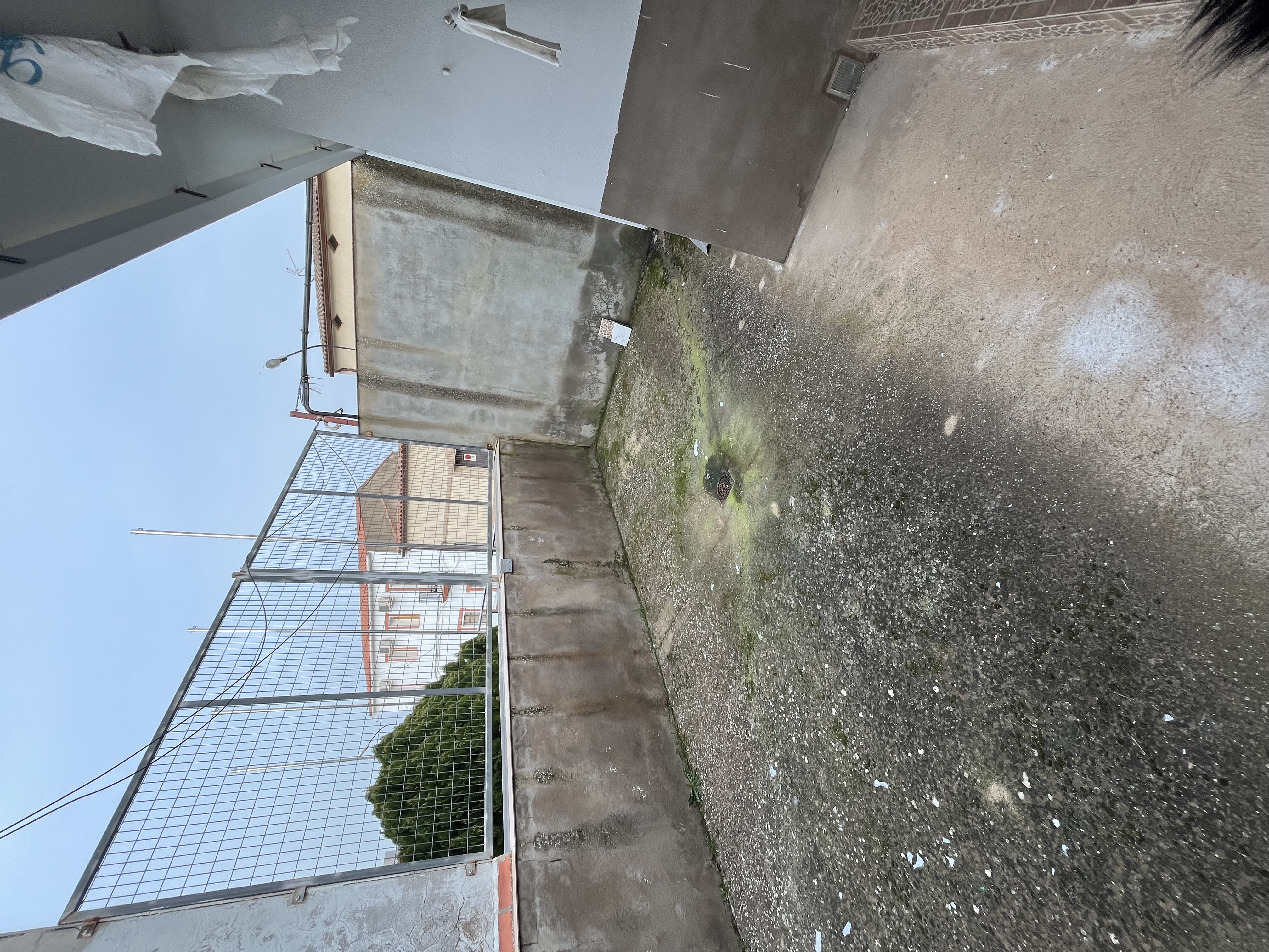 Vivienda en Puebla de Alcocer 