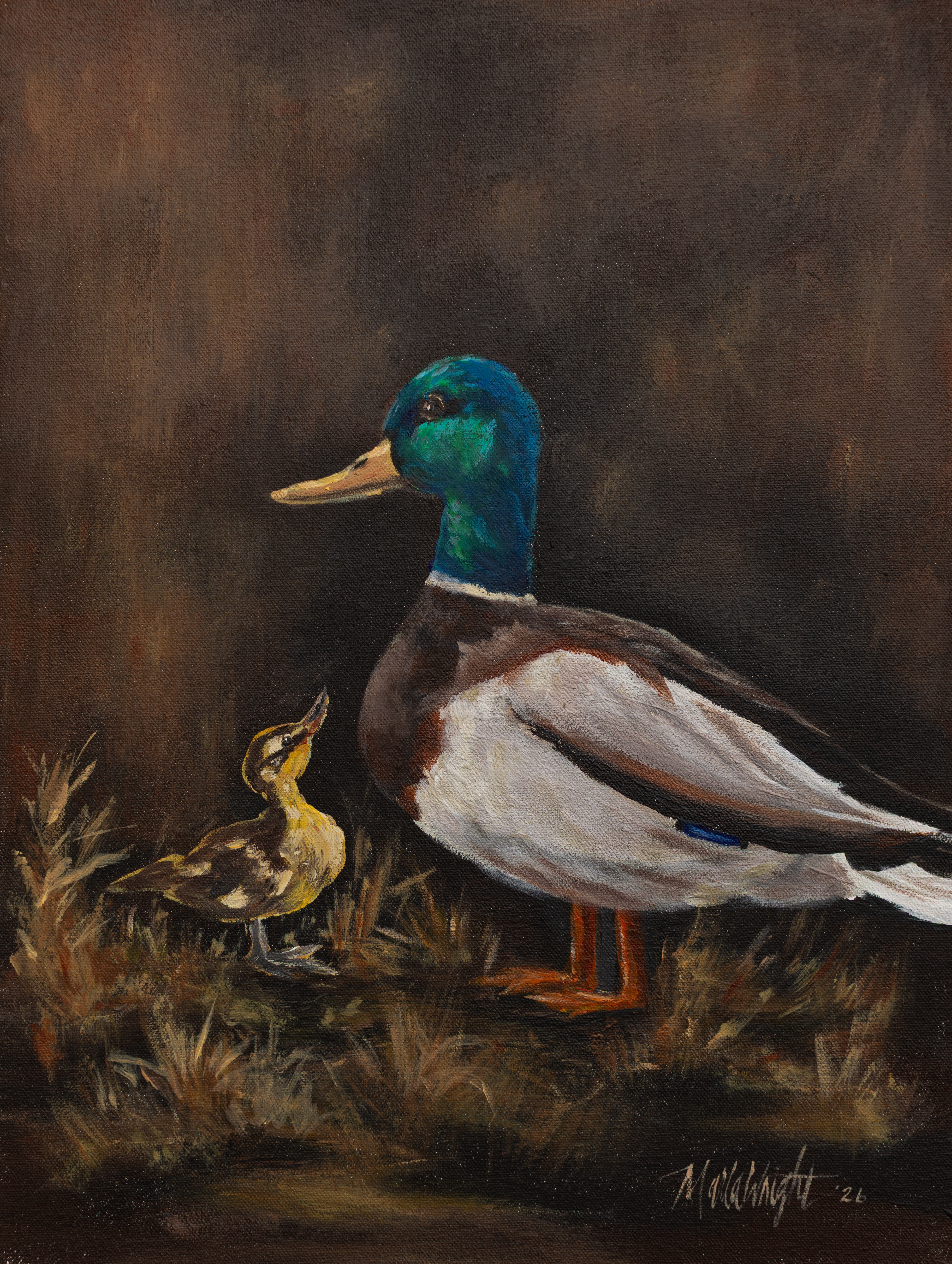Father Son Mallard Print