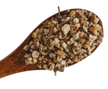Dried Burdock Root