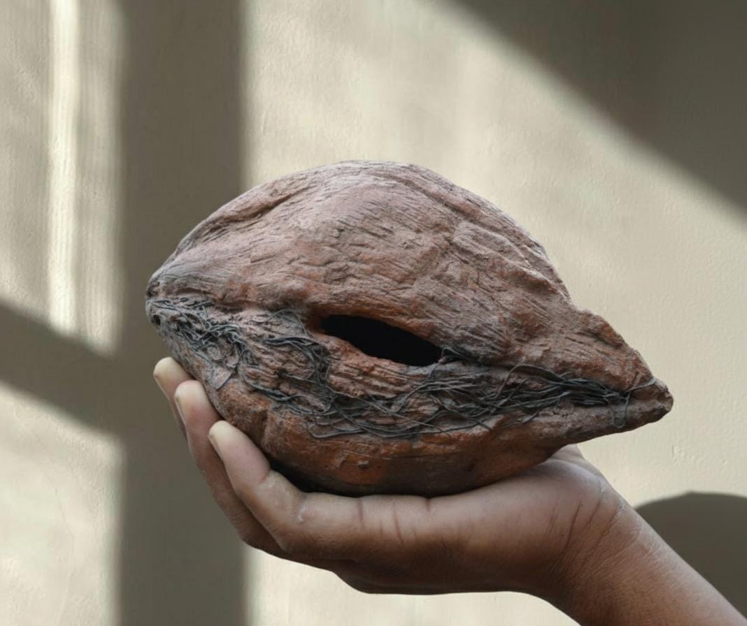 Natural Coconut Shell