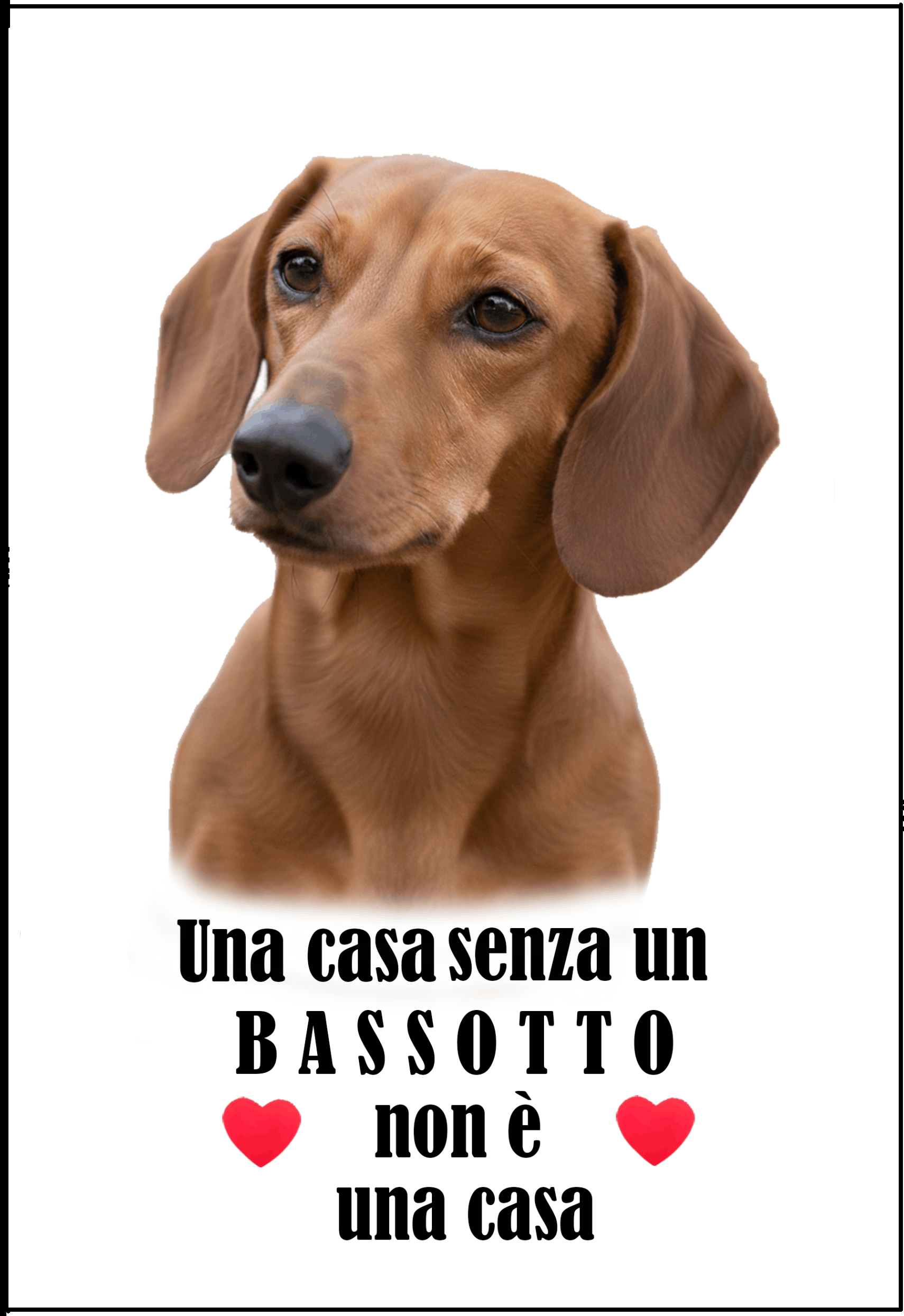 C023 Magnete da frigo BASSOTTO