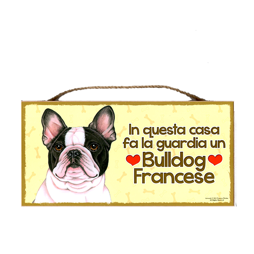 15 Targa Bulldog Francese