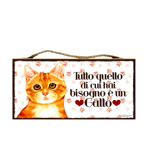 58 Targa Decorativa Gatto rosso