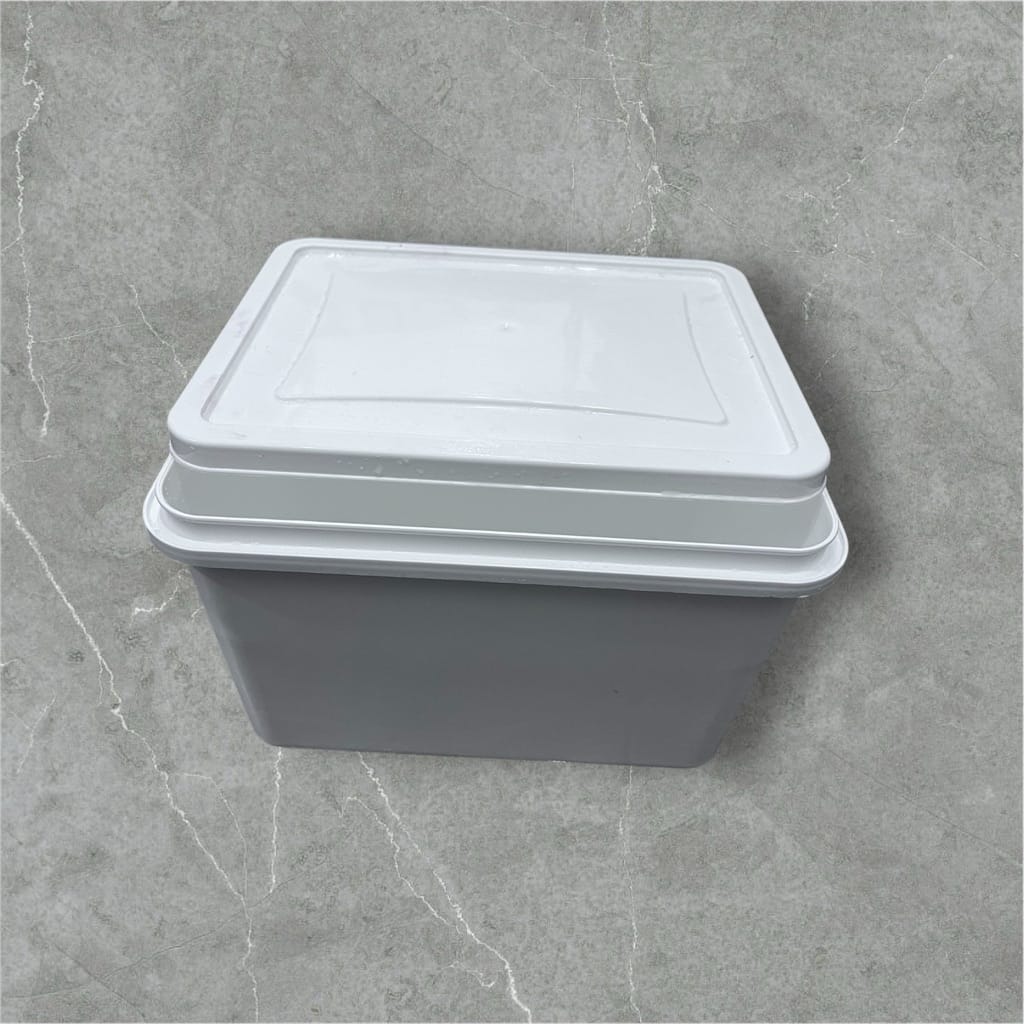 Rectangular Plastic Storage Container
