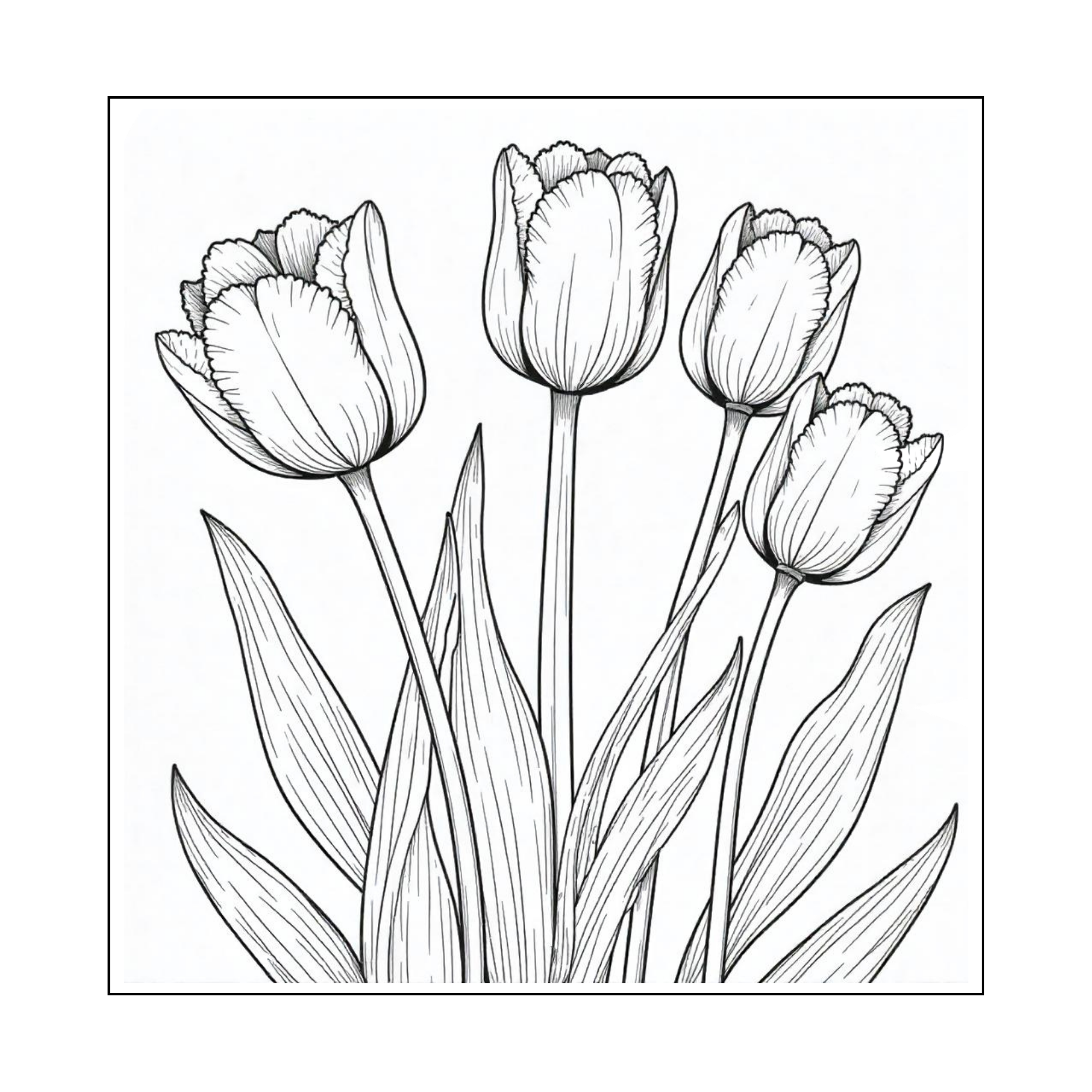 Tulip Digital Coloring Page