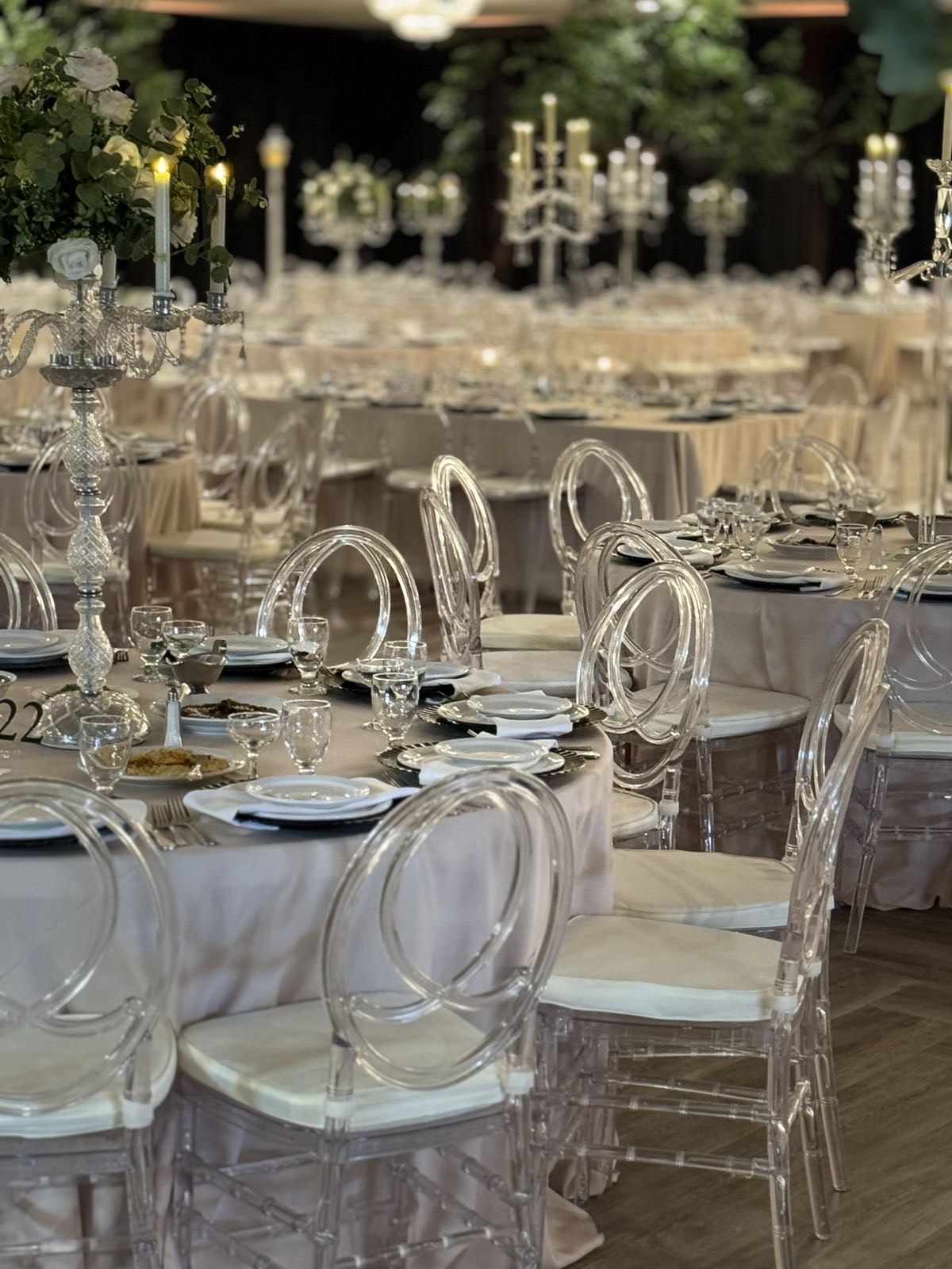 Elegant Acrylic Dining Chairs