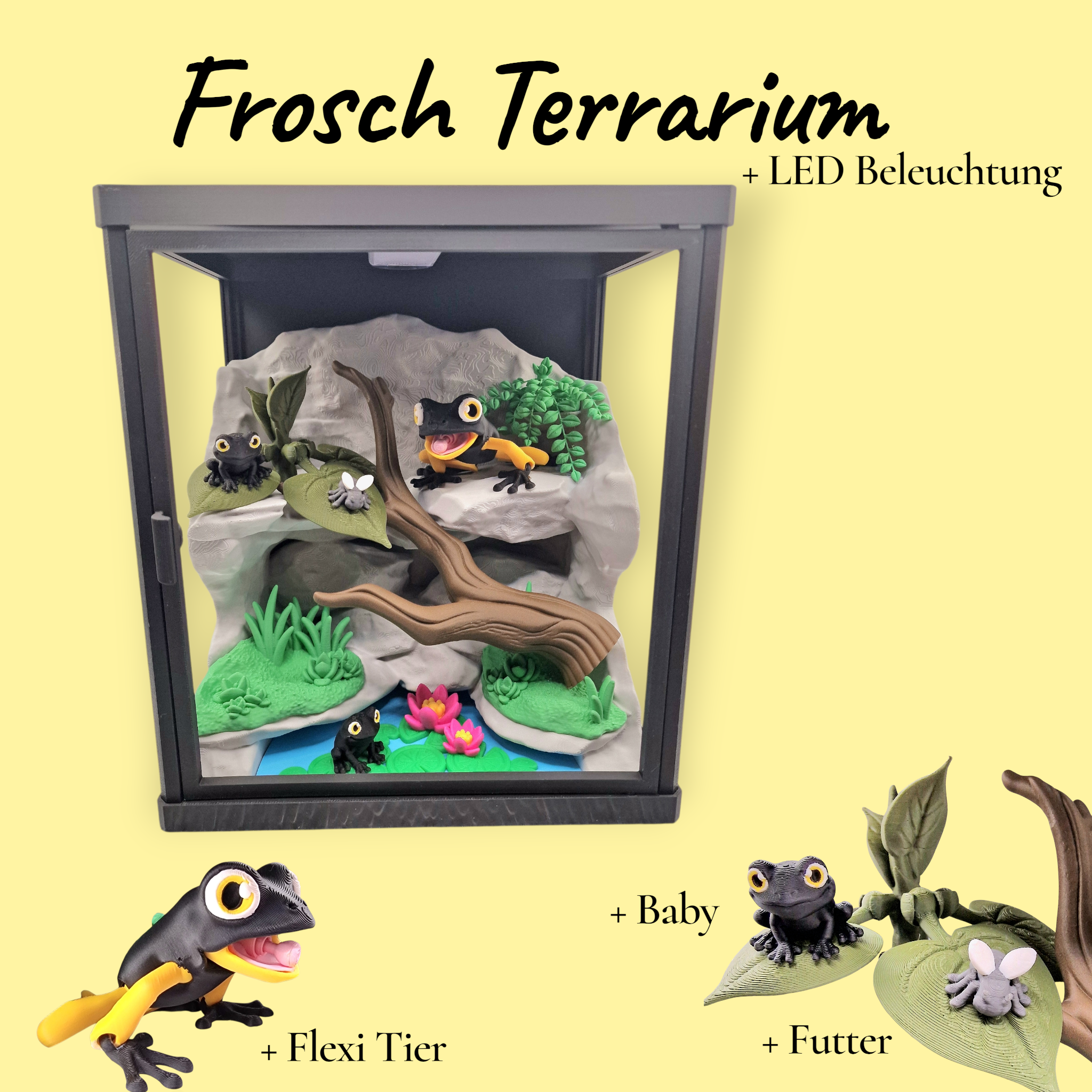Frosch Terrarium
