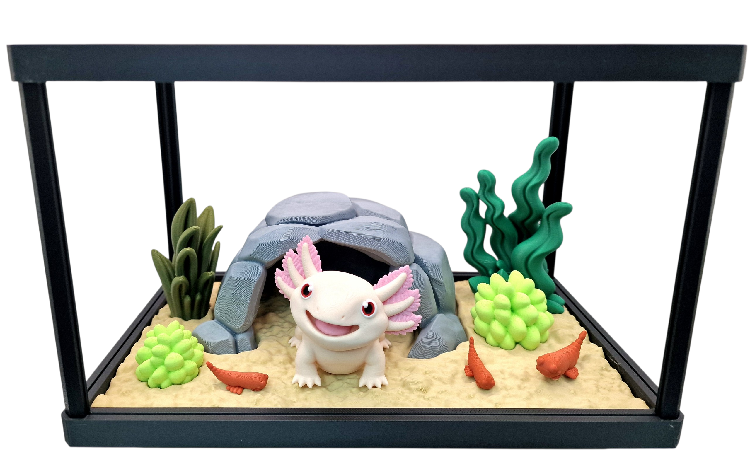 Axolotl Aquarium