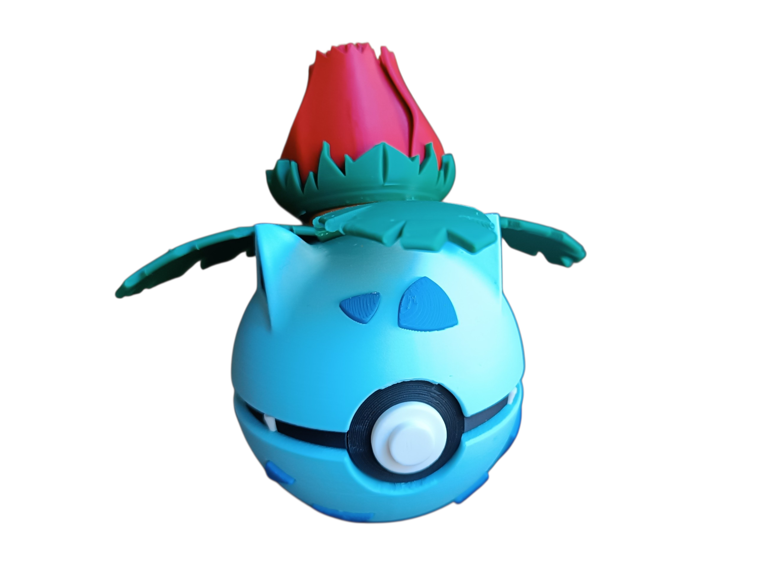 Fanball,Blume,Pflanze