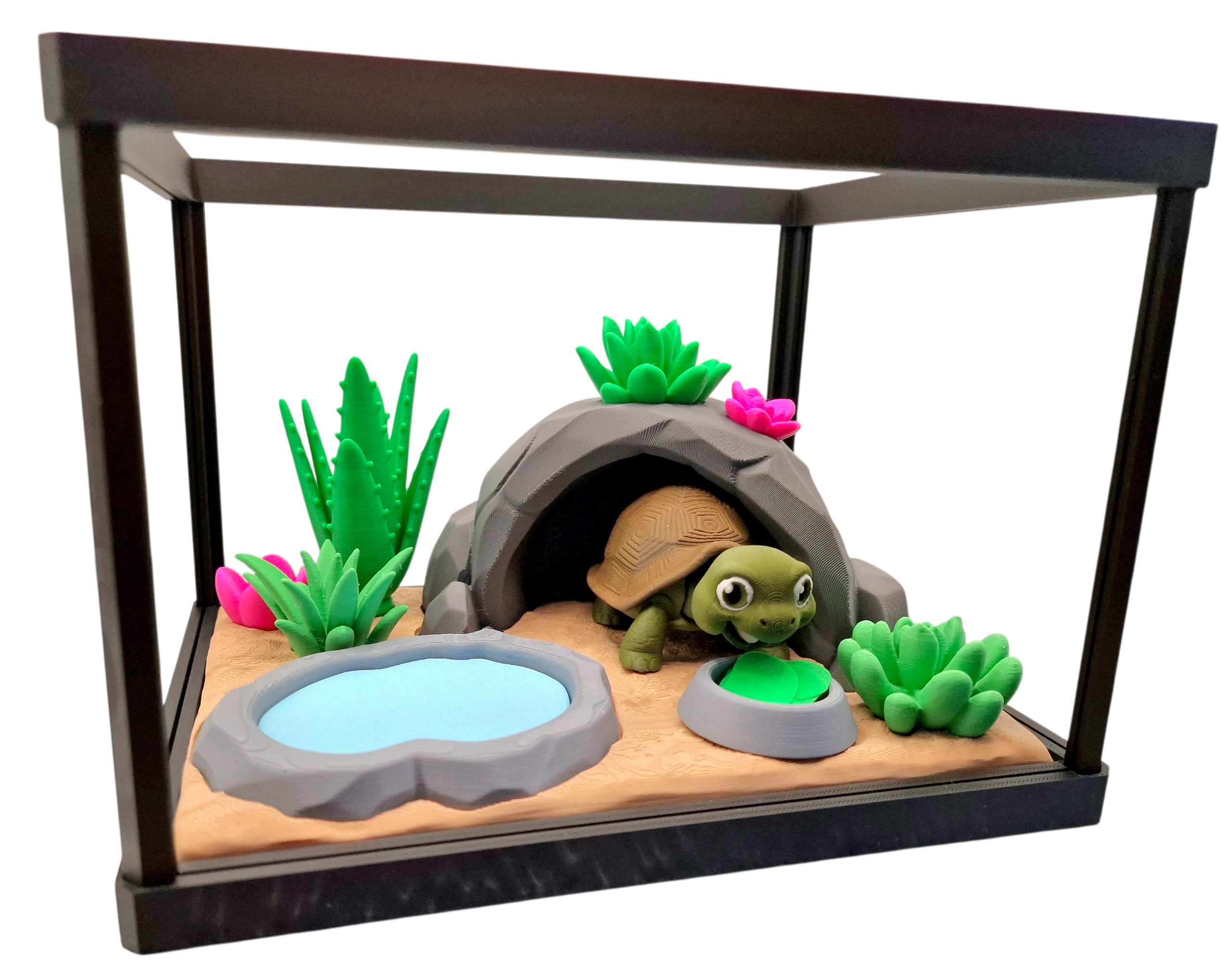  Schildkröte Terraium 