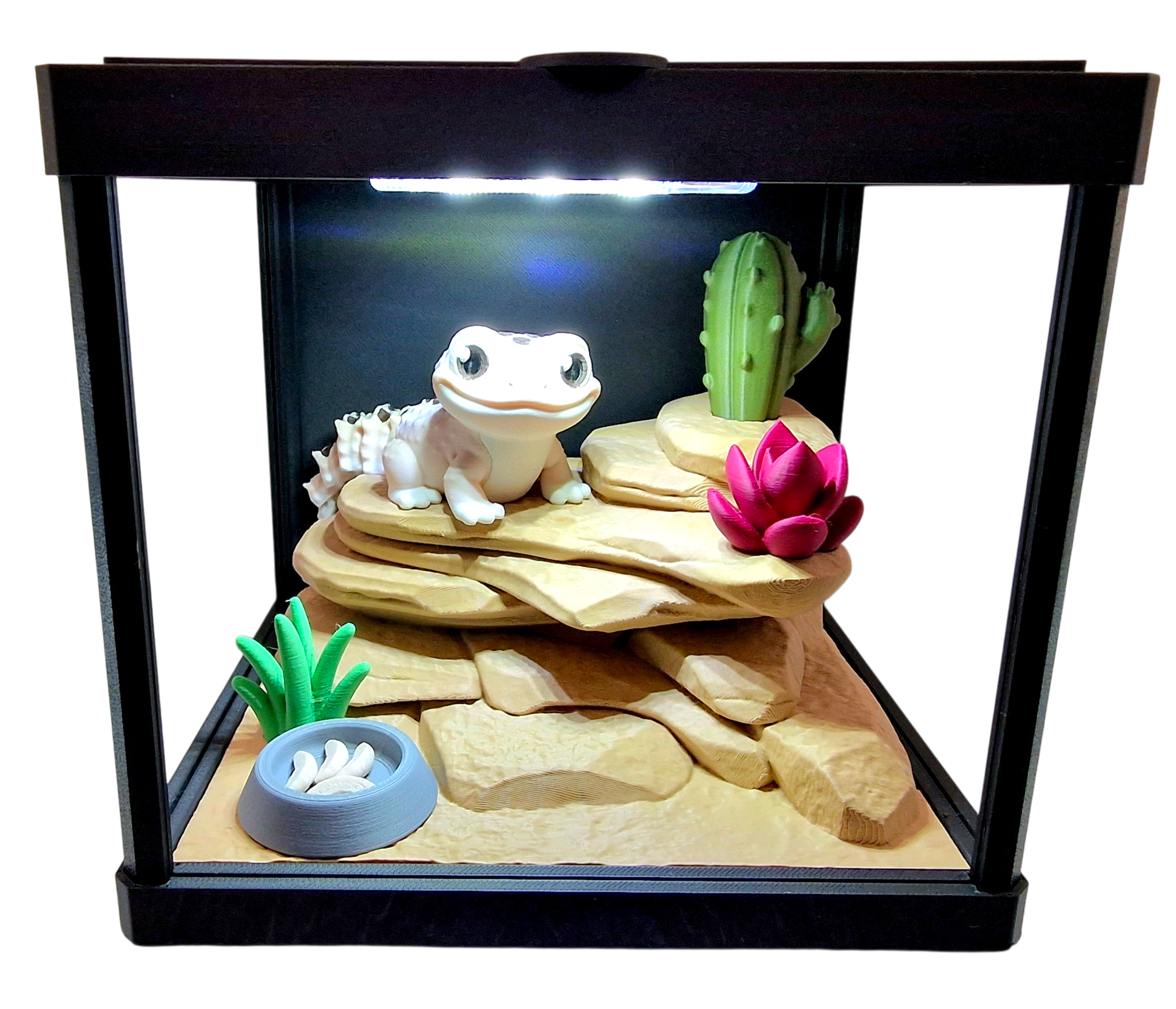Gecko Terrarium 