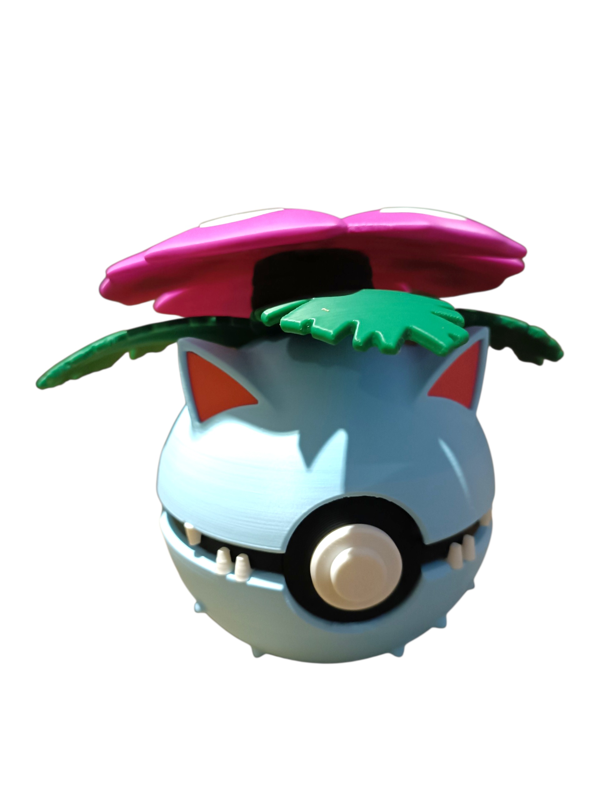 Fanball, Blume,Pflanze