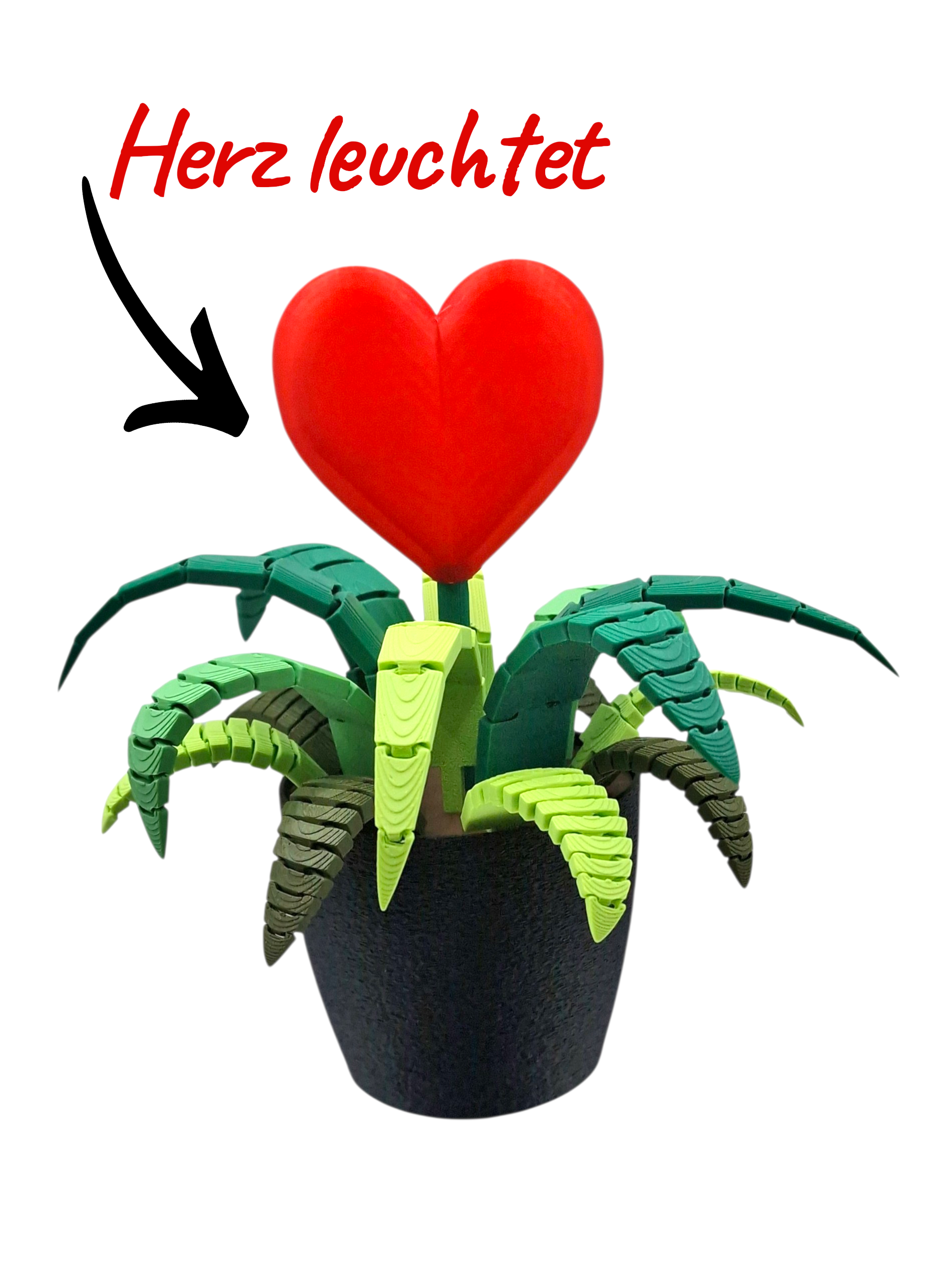 LED Herz Pflanze 