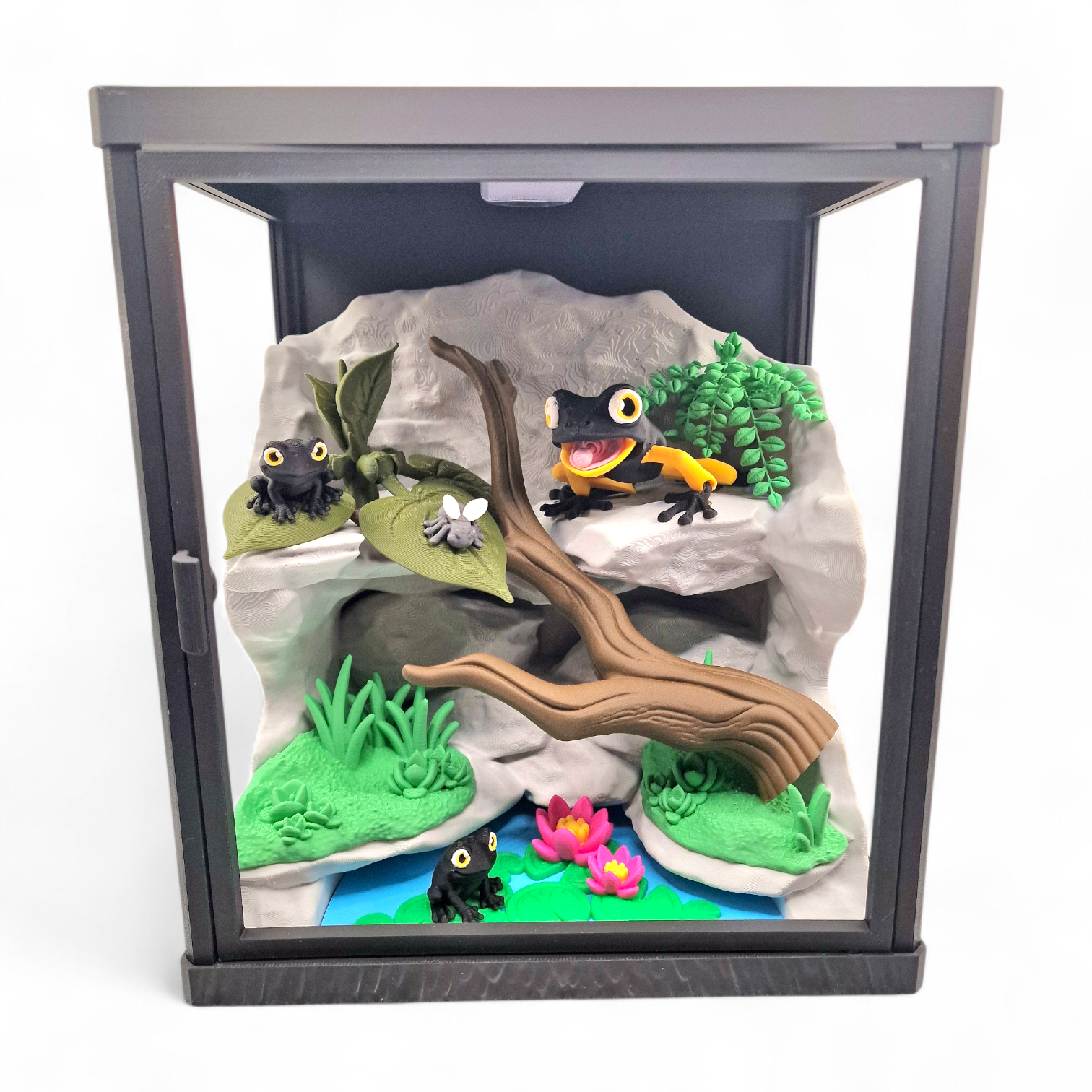 Frosch Terrarium