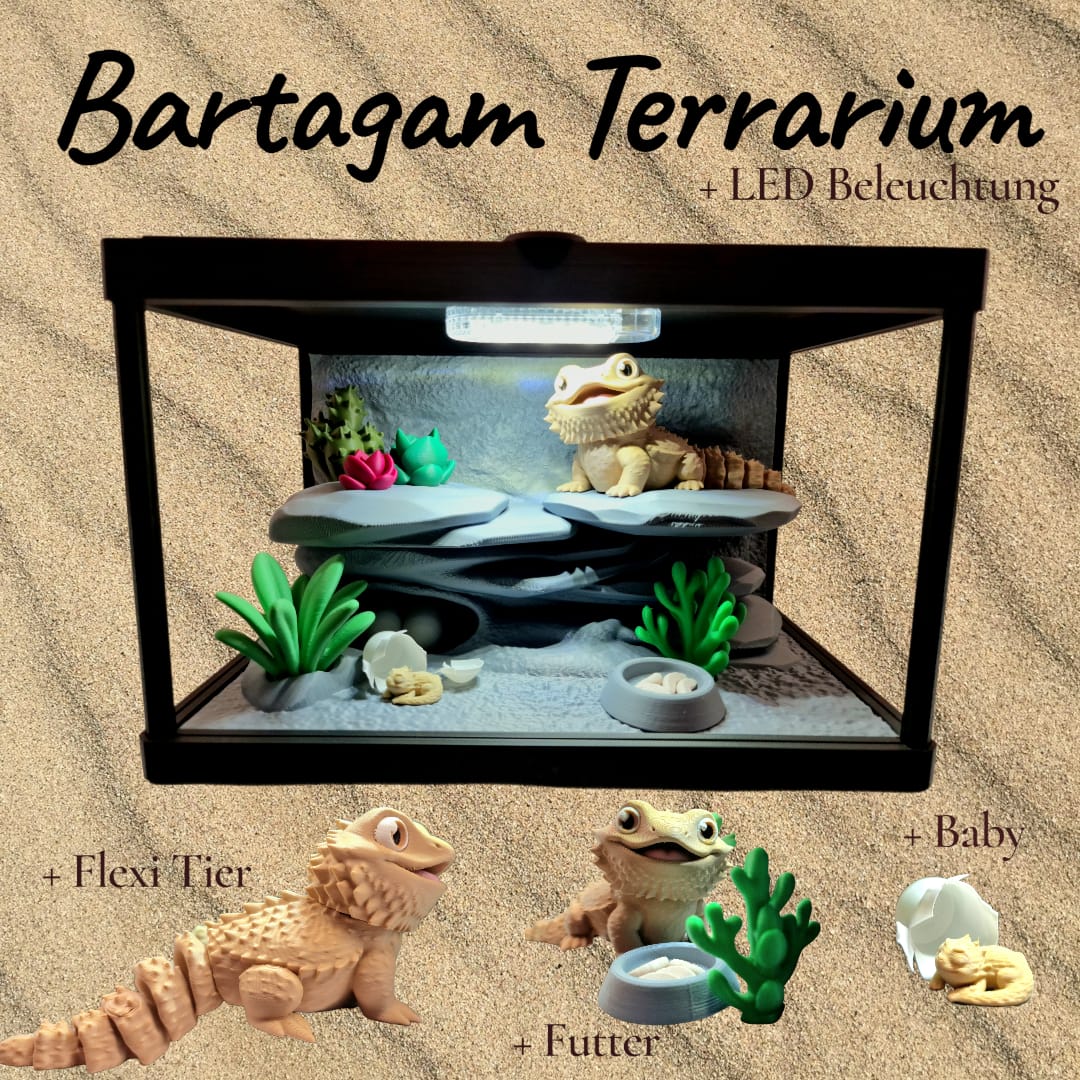  Bartagame Terraium 