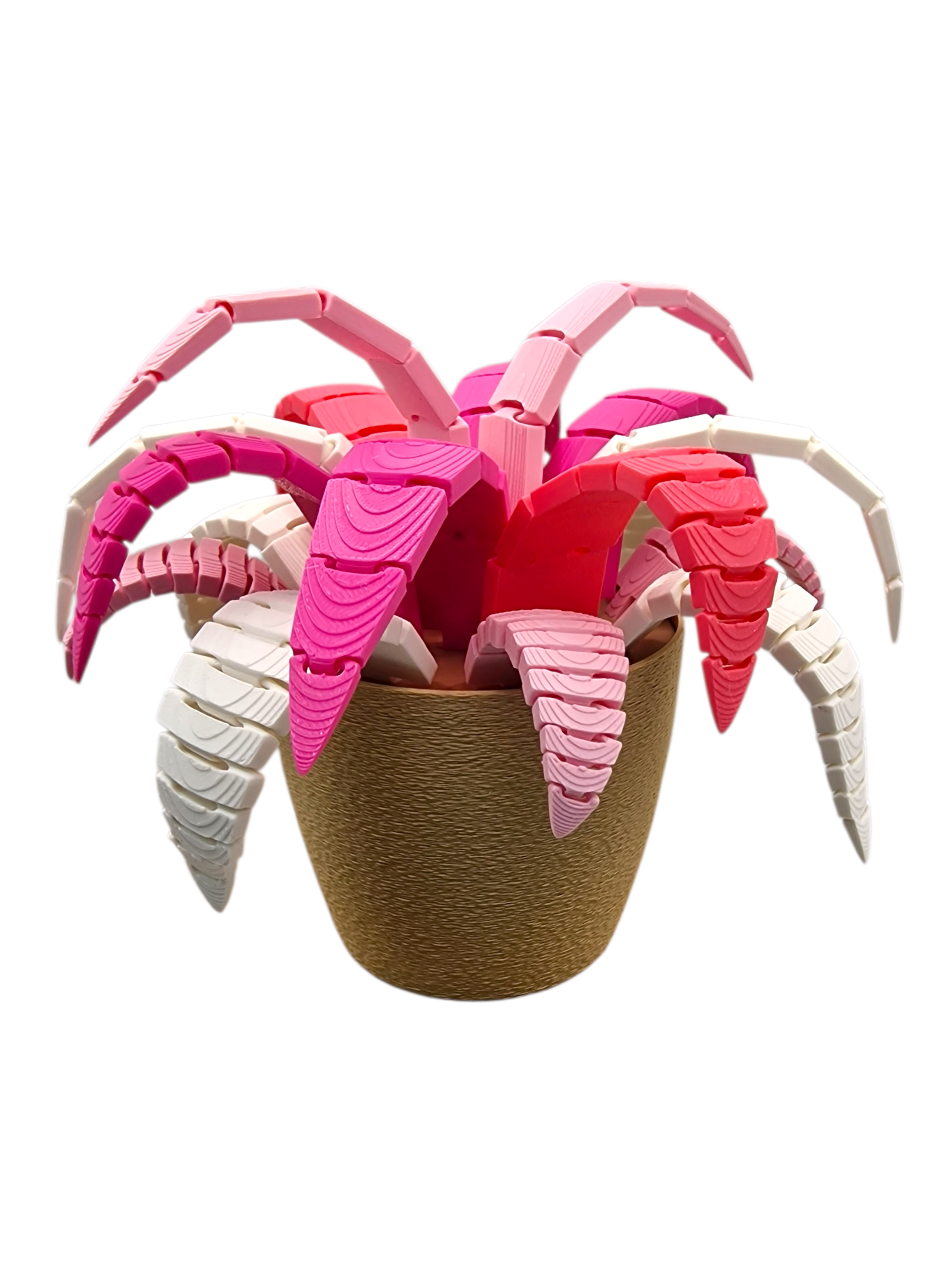 Pflanze mit Geheimfach