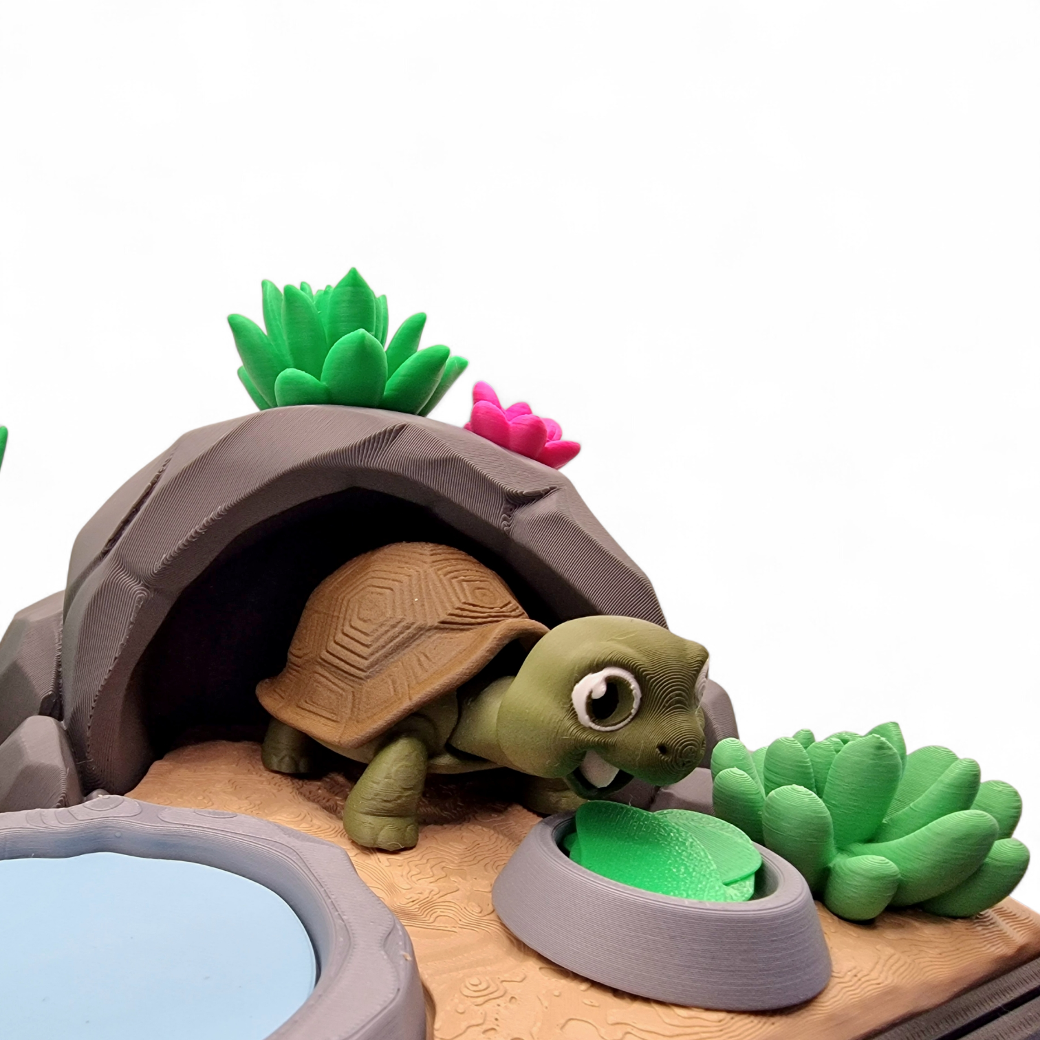  Schildkröte Terraium 