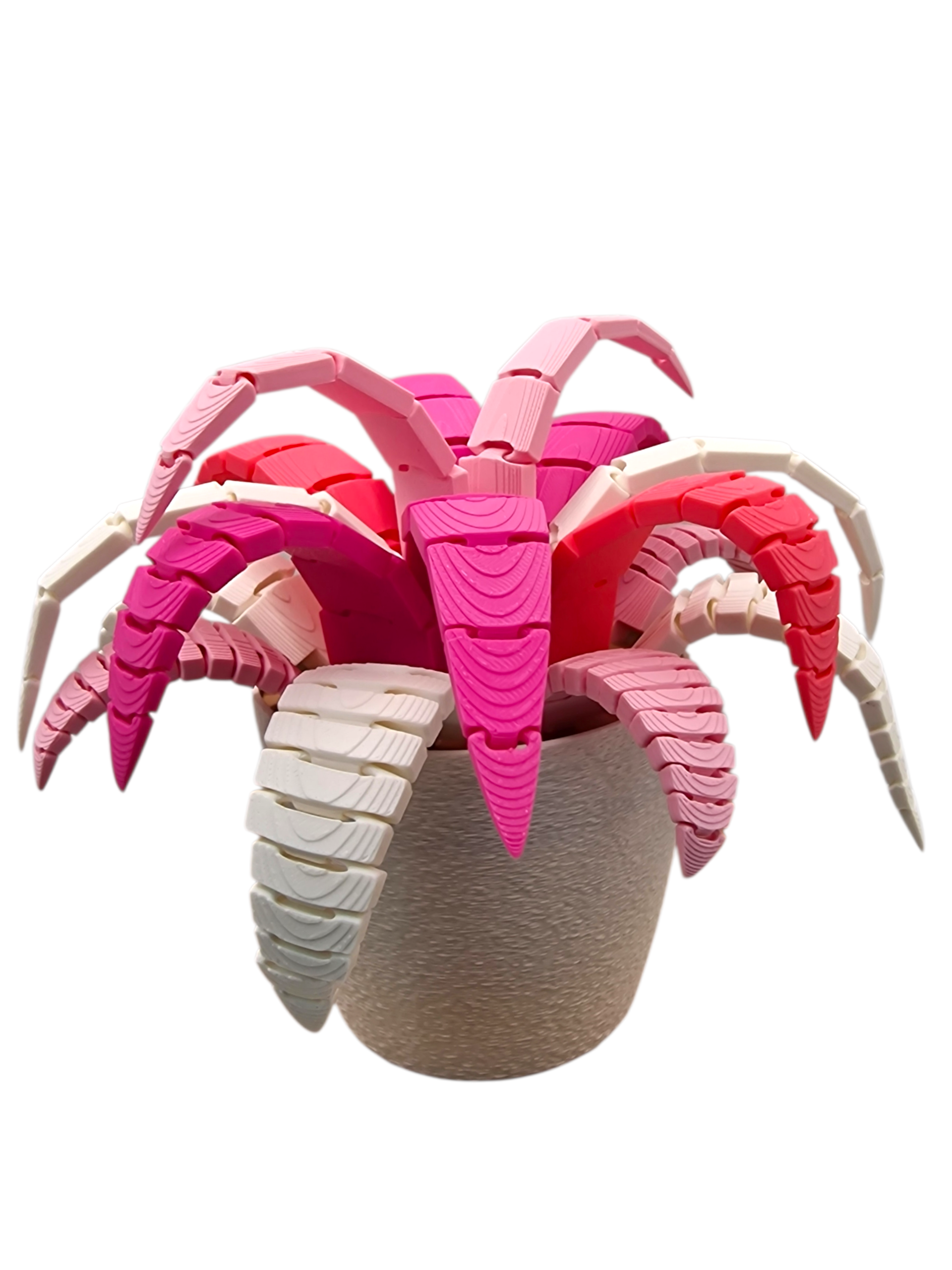 Pflanze mit Geheimfach