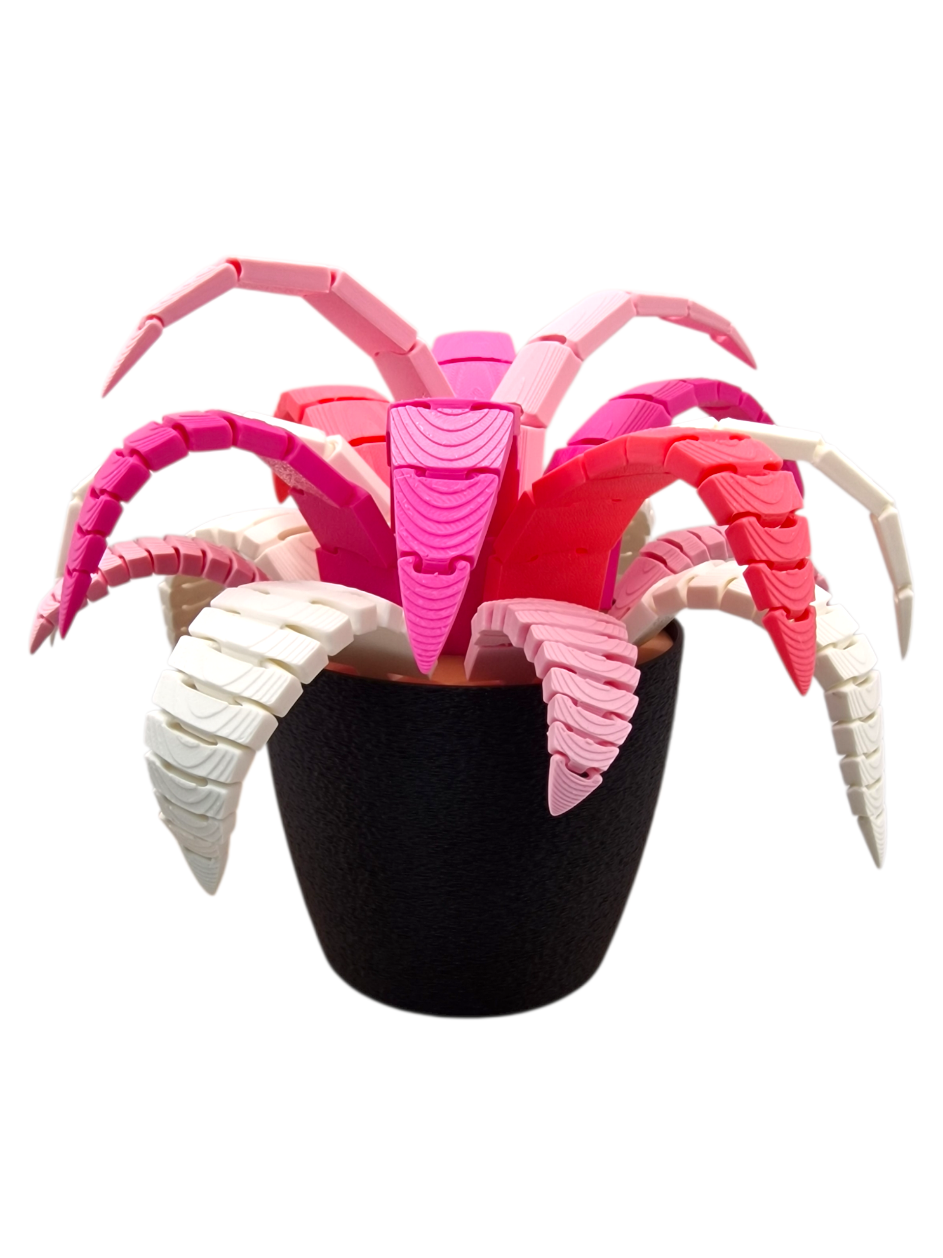 Pflanze mit Geheimfach