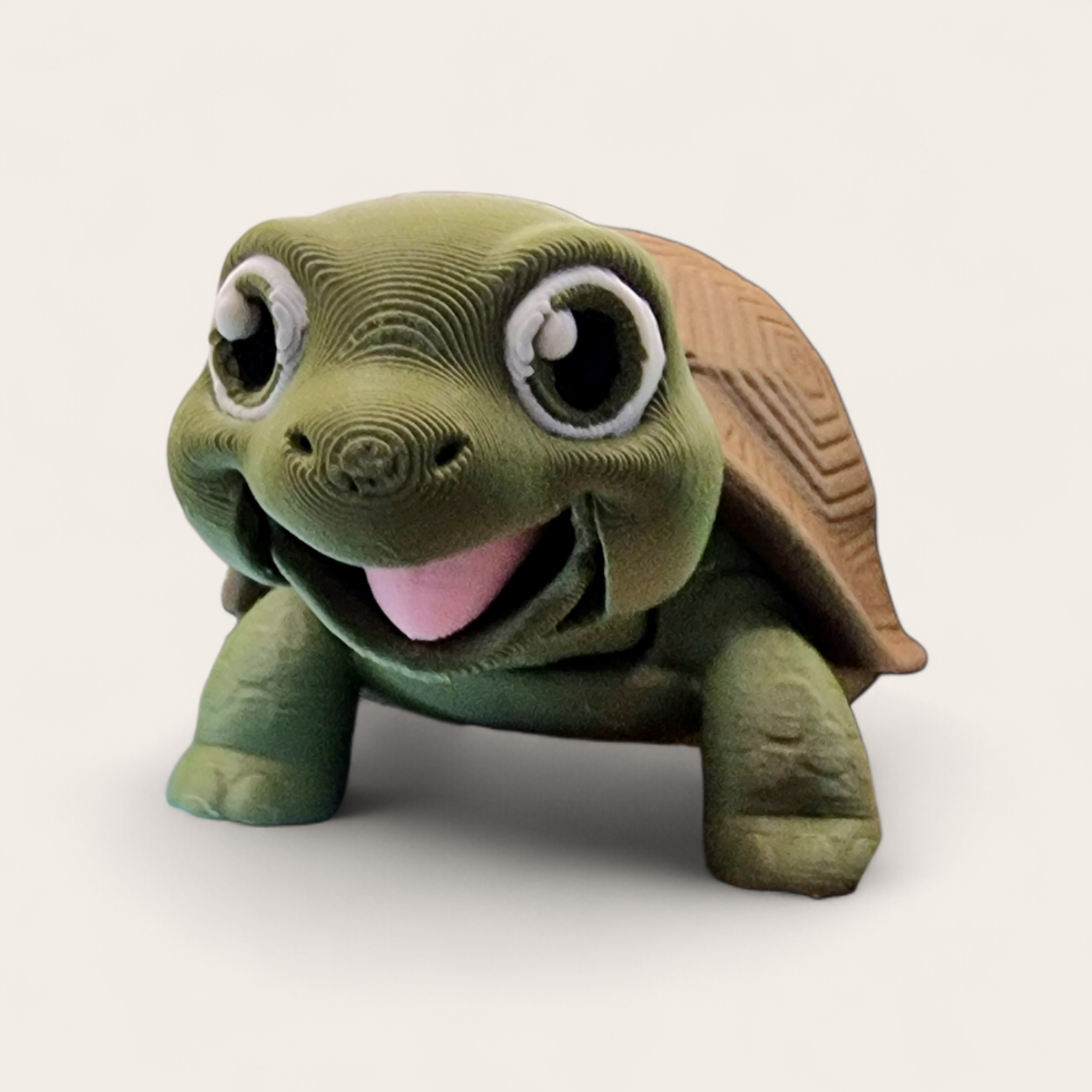  Schildkröte Terraium 