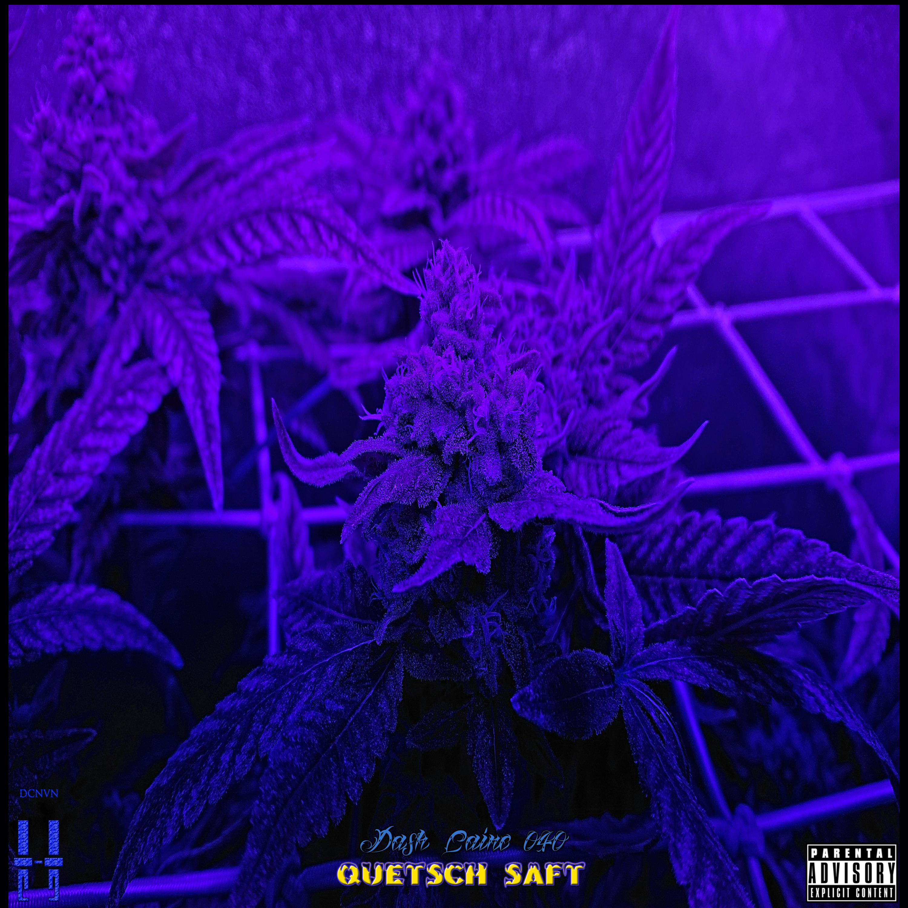 Quetsch Saft (Single)