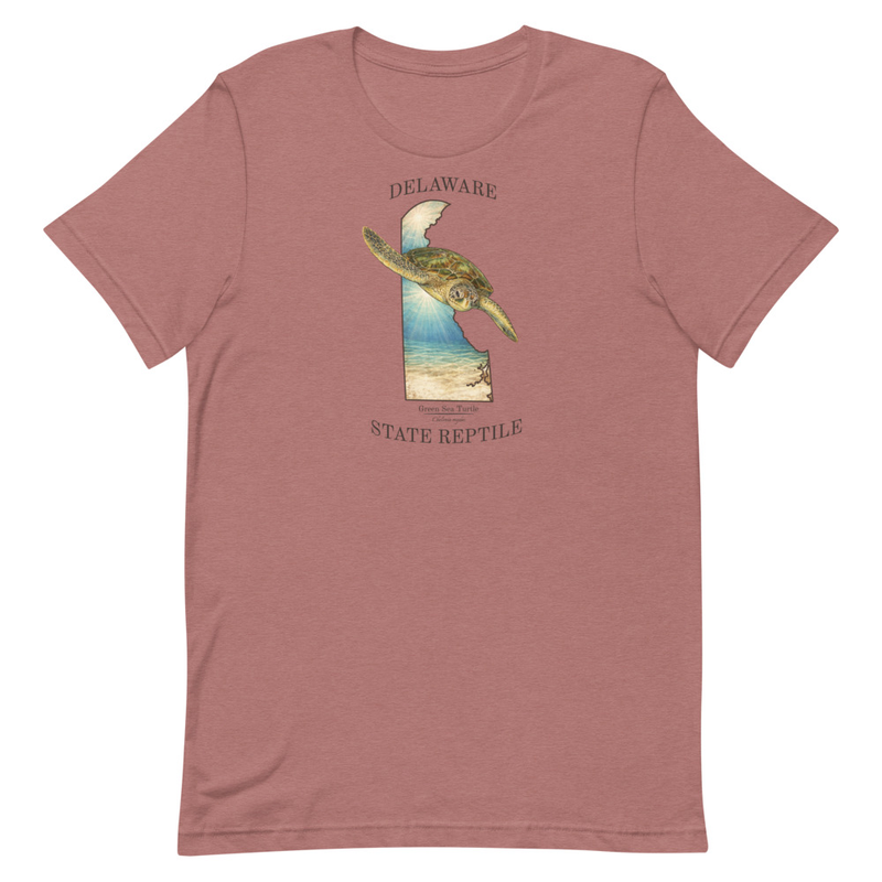 Delaware Green Sea Turtle T-Shirt | Delaware Wildlife Nature Shirt | Coastal Marine Life Tee