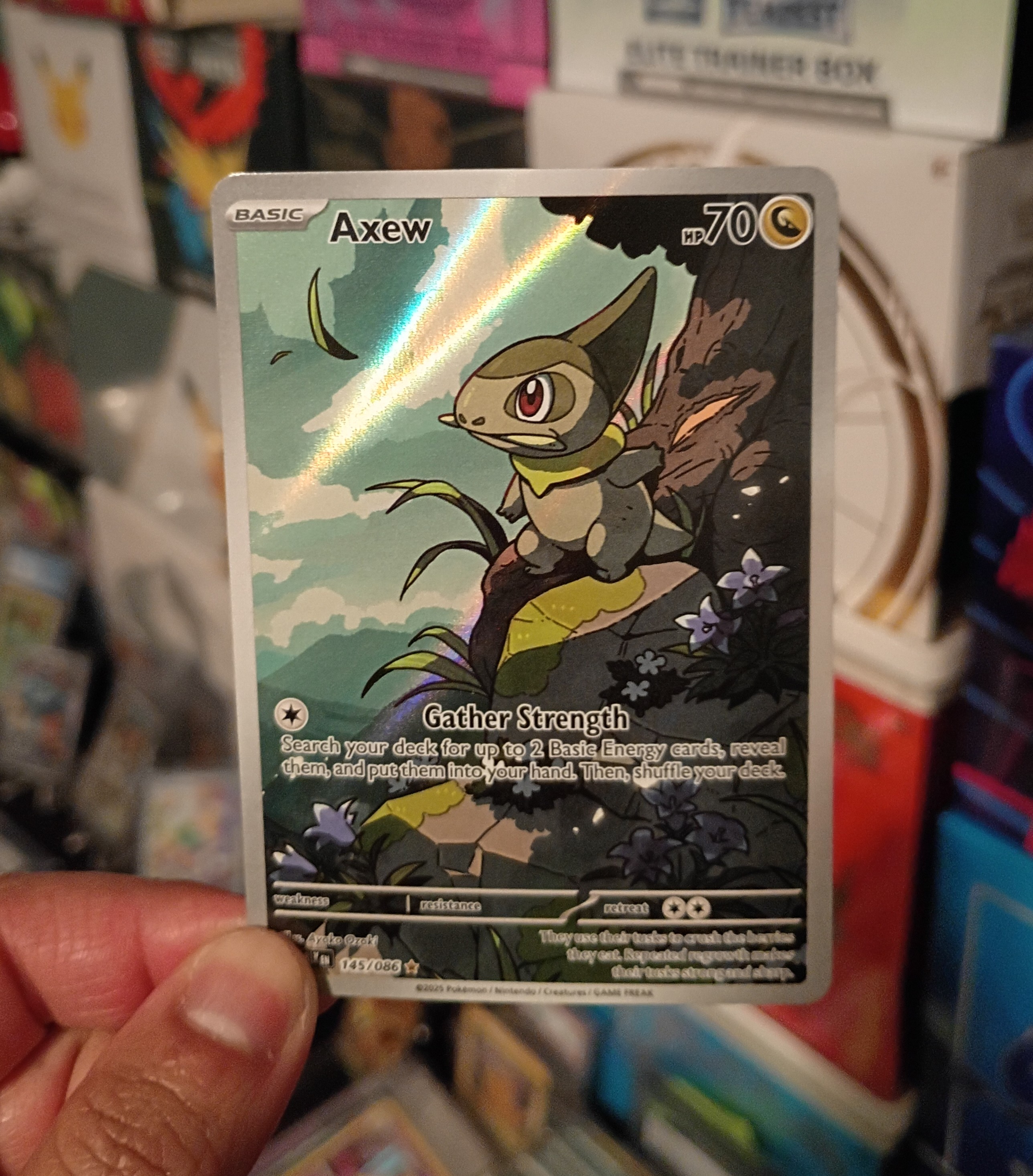 Pokemon Axew 145/086 Sv: Black Bolt Holo