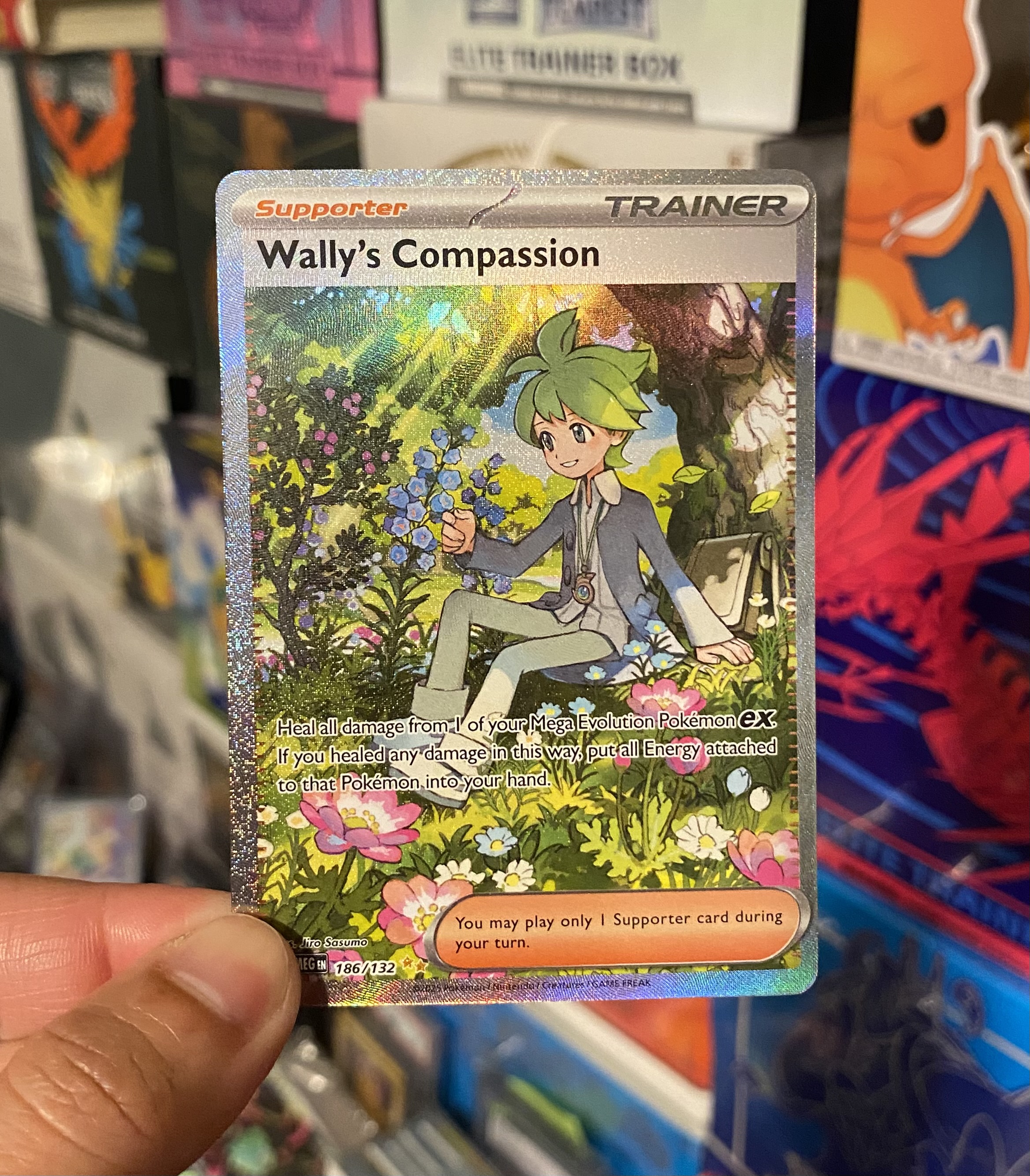 Pokemon Wally's Compassion 186/132 Me01: Mega Evolution 
