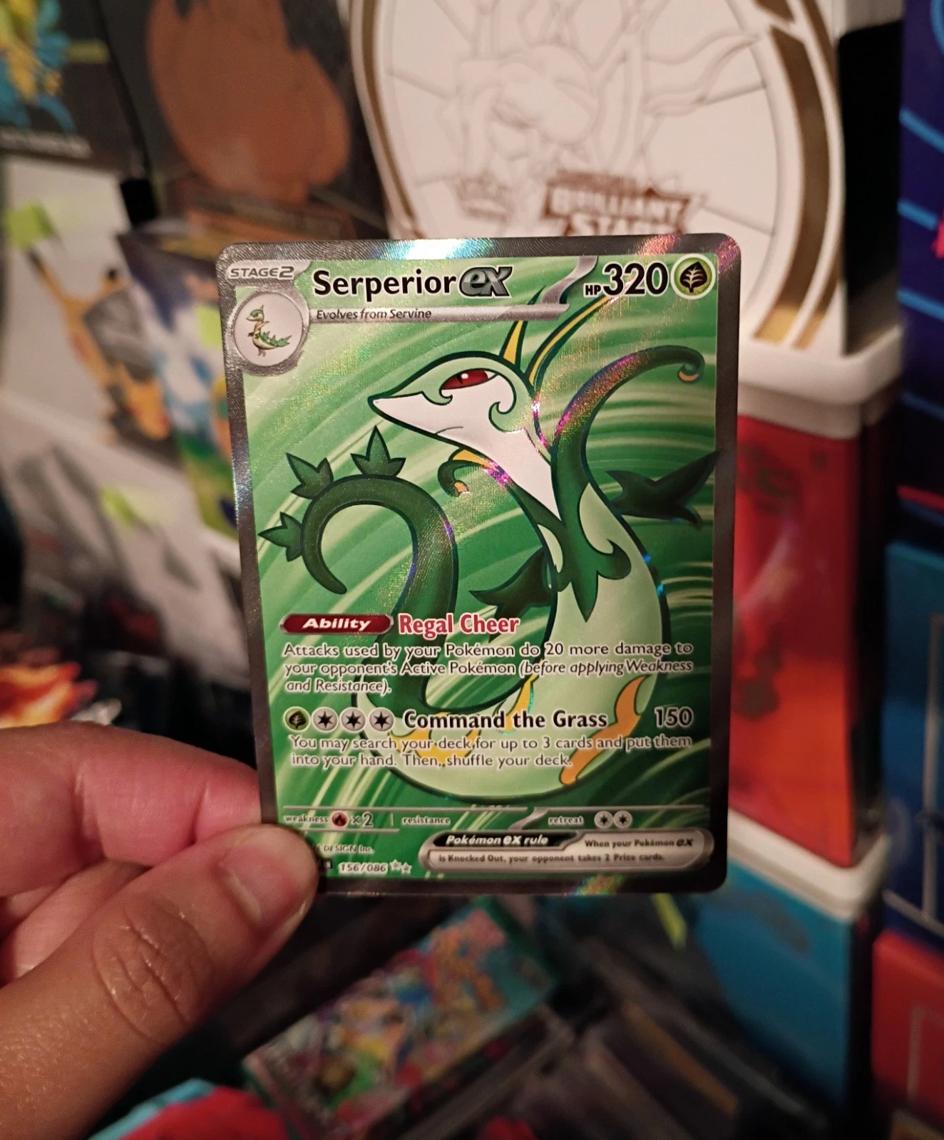 Pokemon Serperior ex 156/086 Sv: Black Bolt Holo