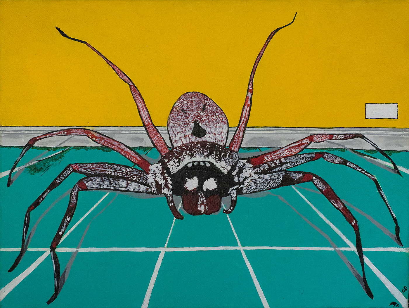 The Aussie huntsman