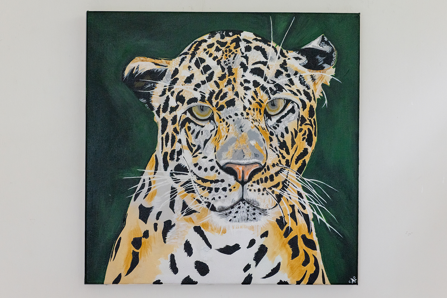 The tranquil leopard