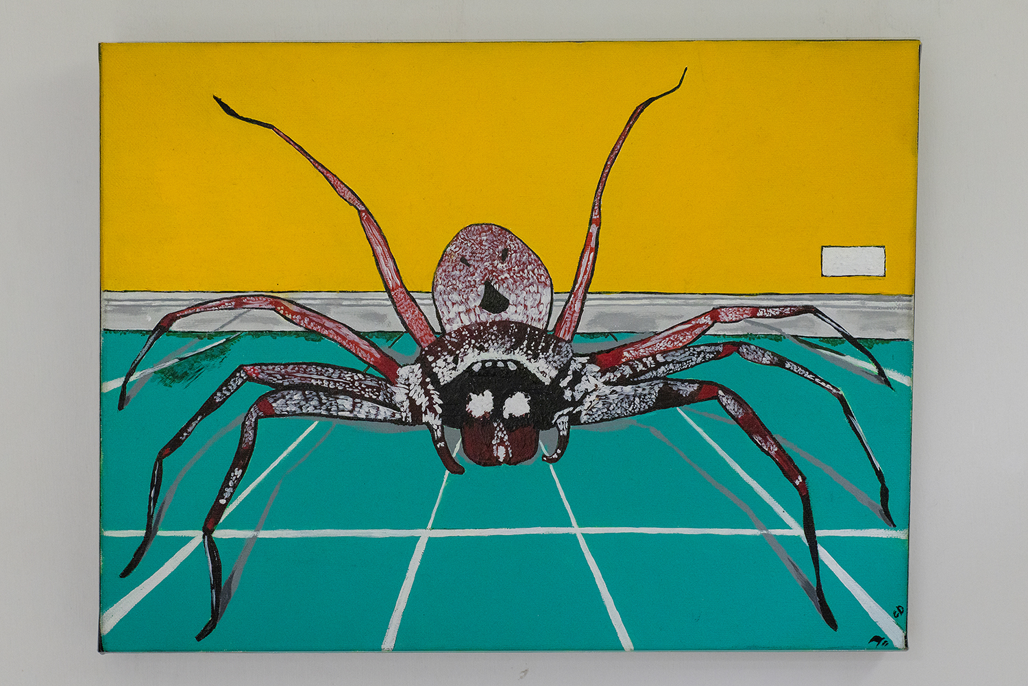 The Aussie huntsman