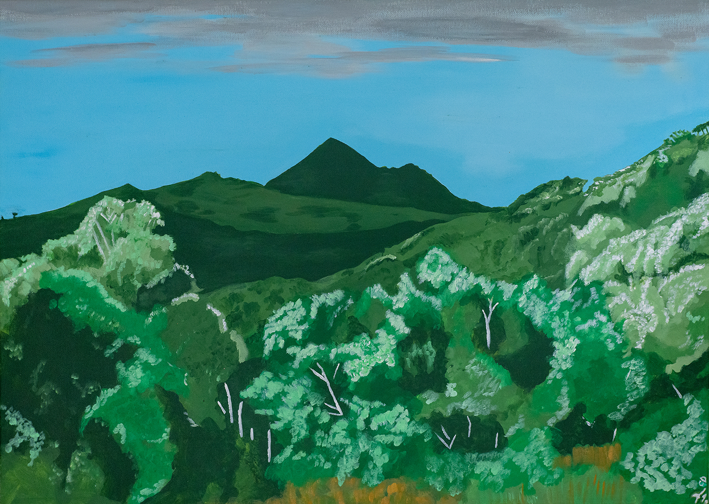 Mt Chincogan moonlight