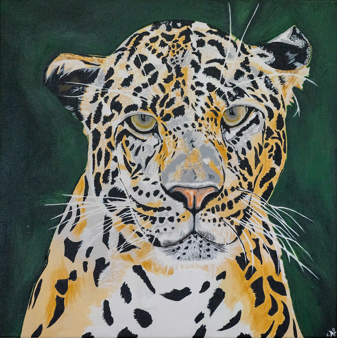 The tranquil leopard