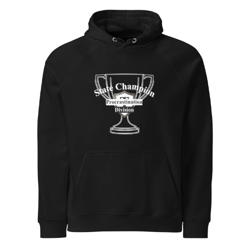 State Champion Unisex eco raglan hoodie