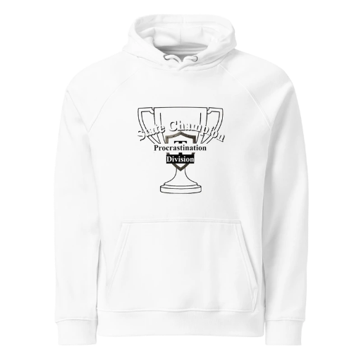 State Champion Unisex eco raglan hoodie