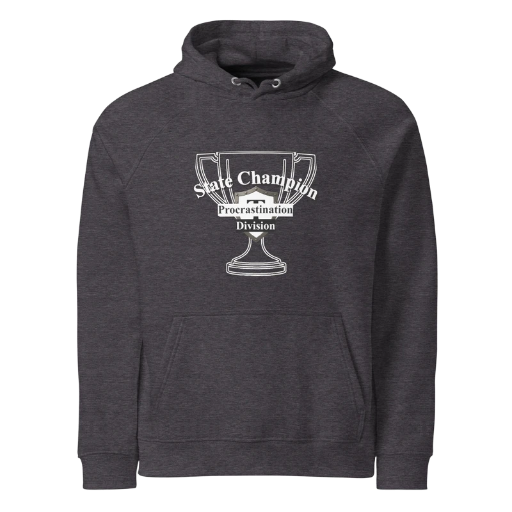 State Champion Unisex eco raglan hoodie