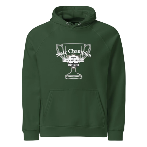 State Champion Unisex eco raglan hoodie