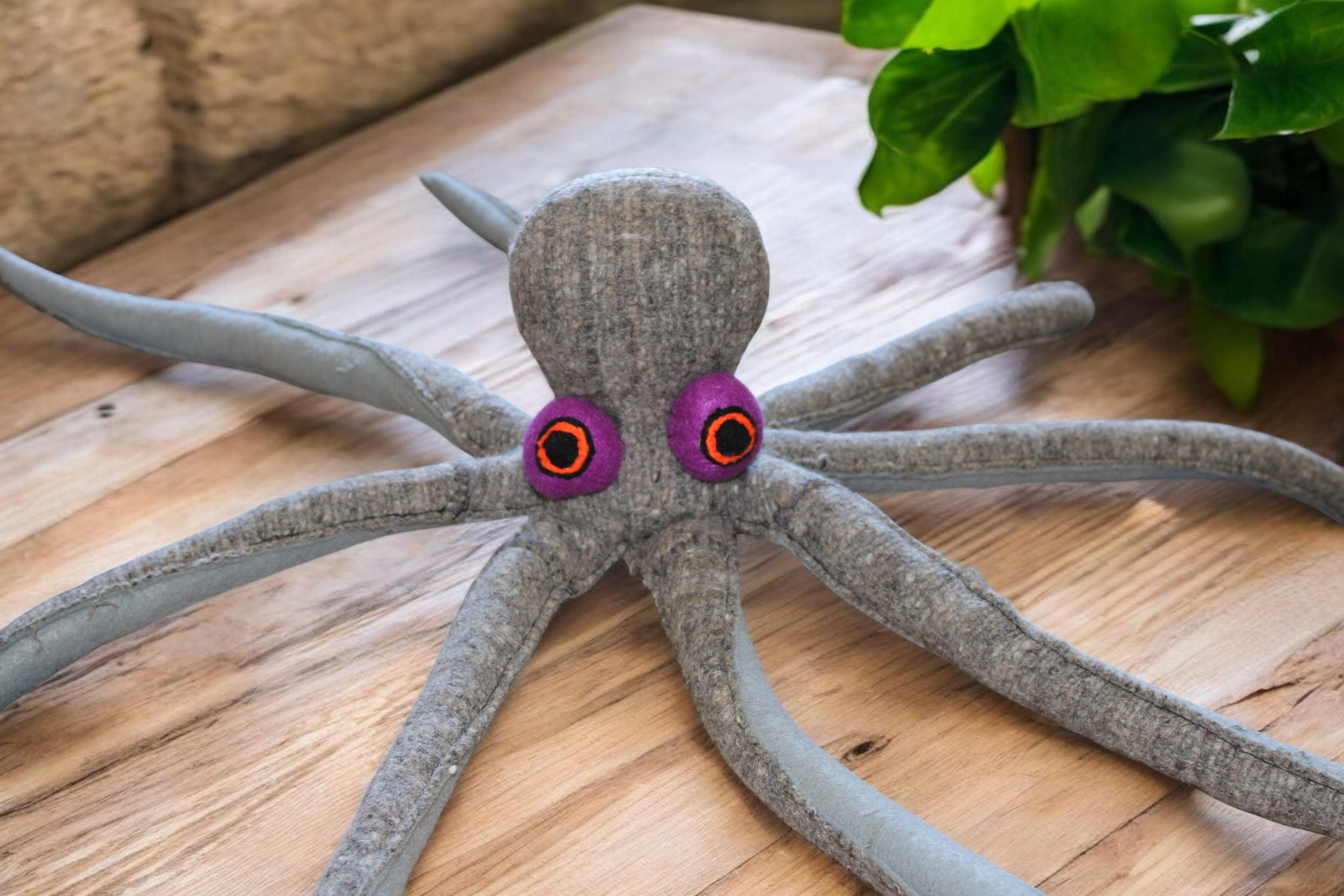 Octopus