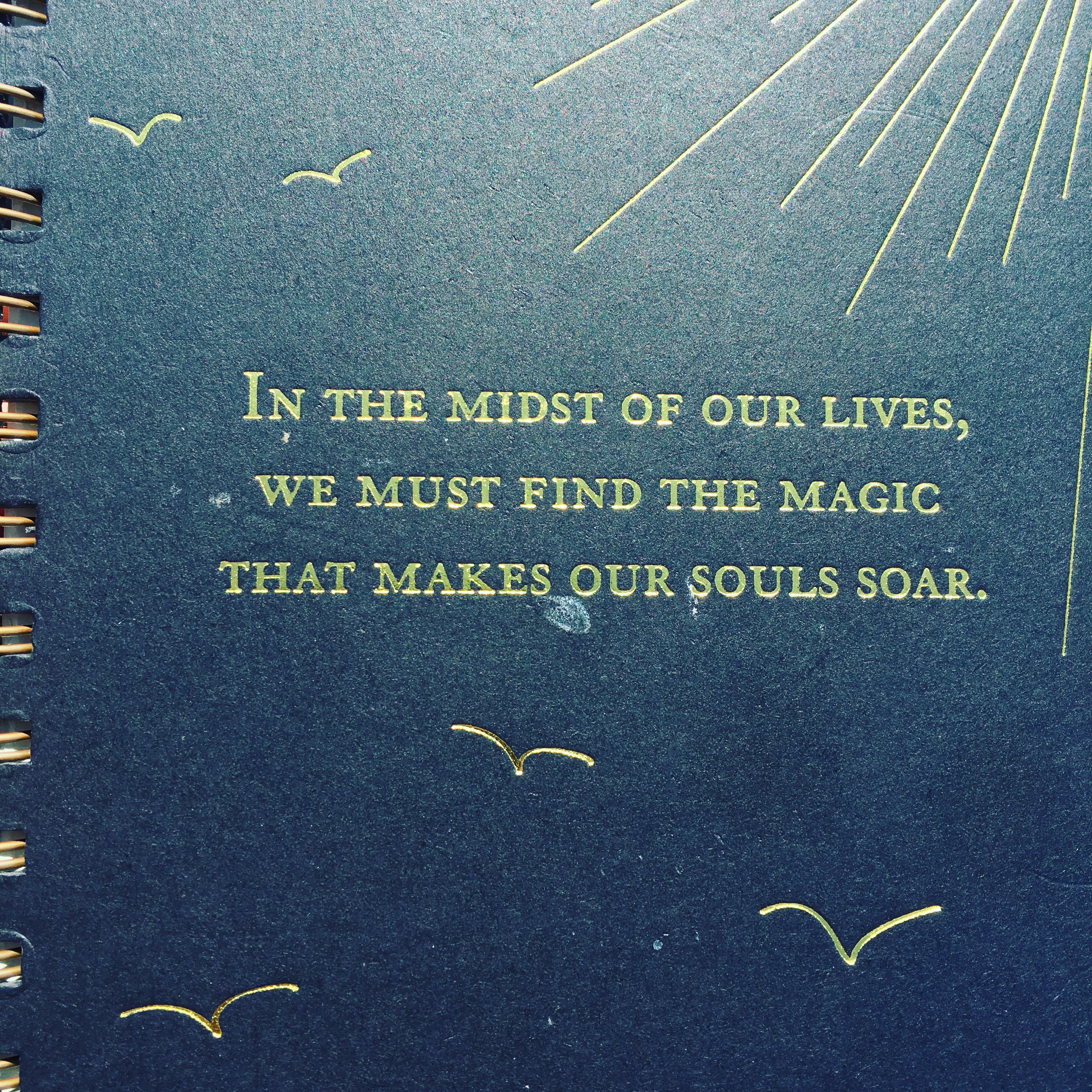 Recovery Coach Sessions