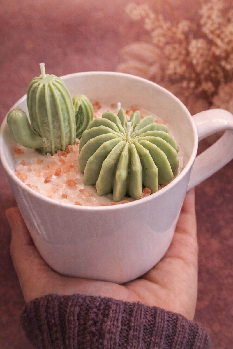 Vela de cera de soya de cactus en taza