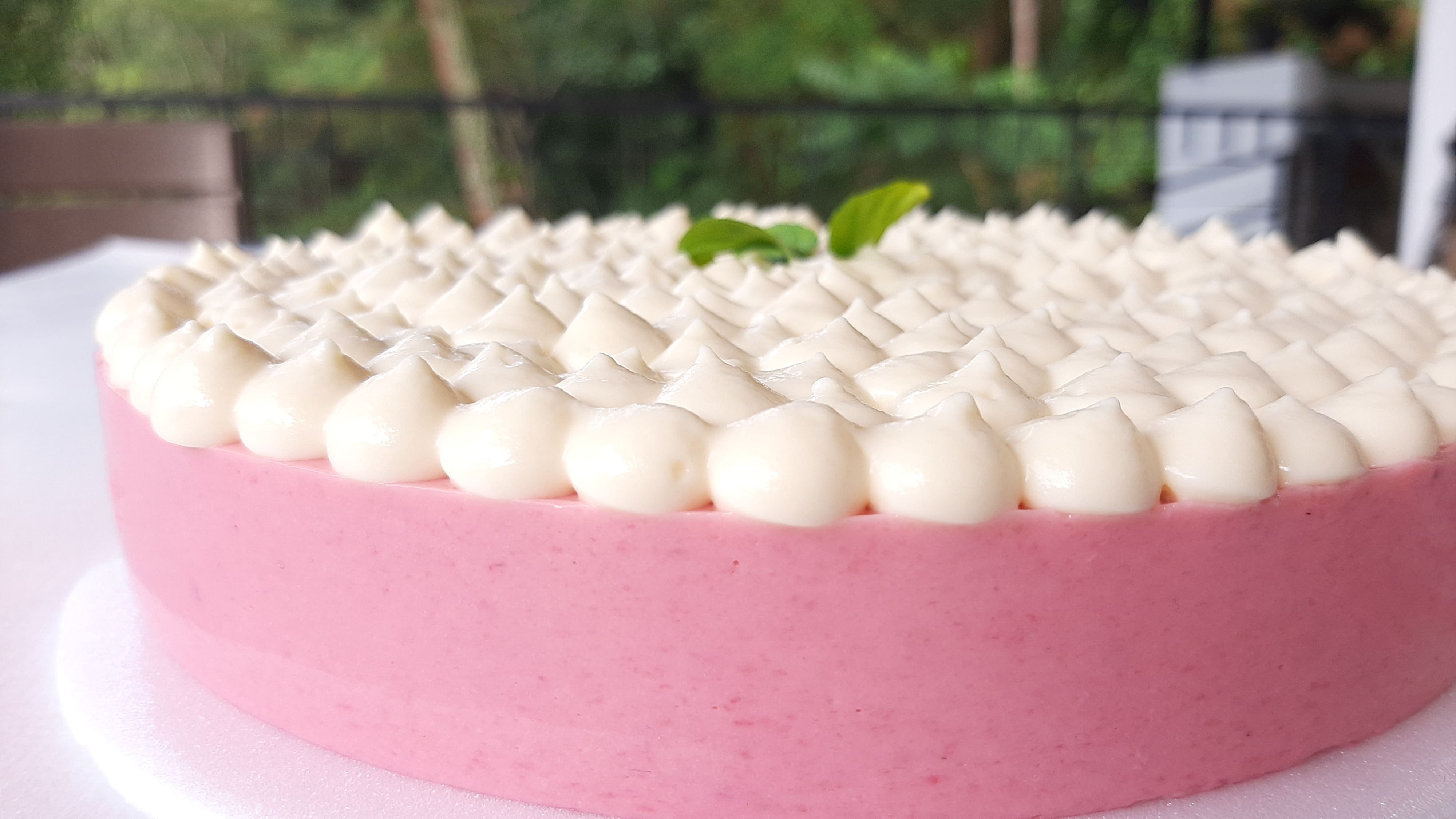 ☁️ Esponjado de Mora