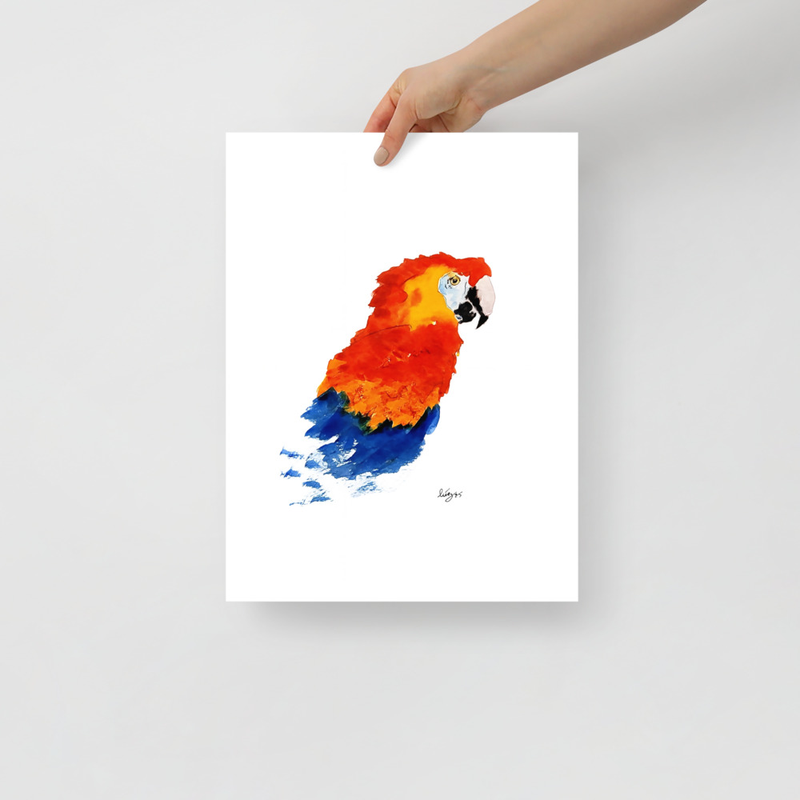 Red and Blue Parrot Watercolour Print on unframed Poster