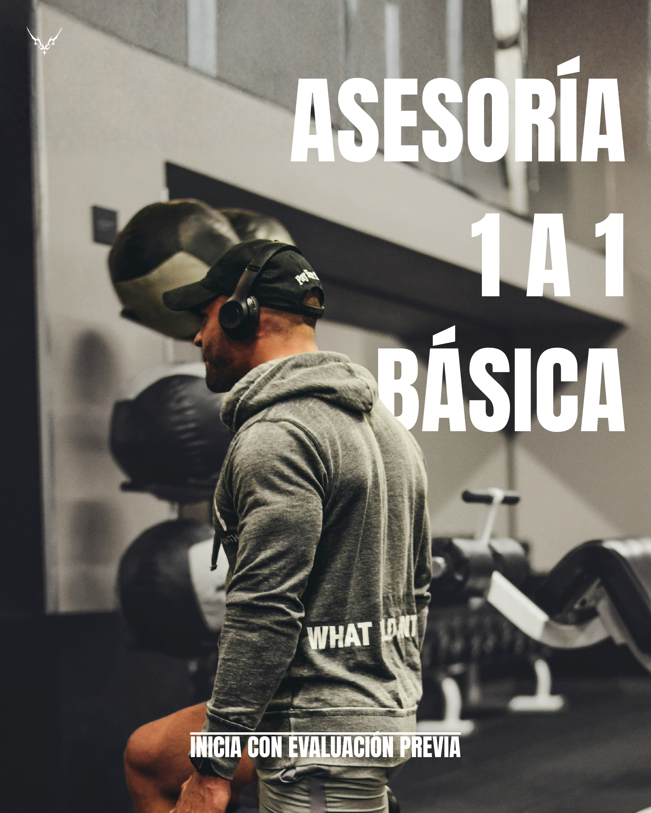 ASESORÍA 1 A 1 · BÁSICA