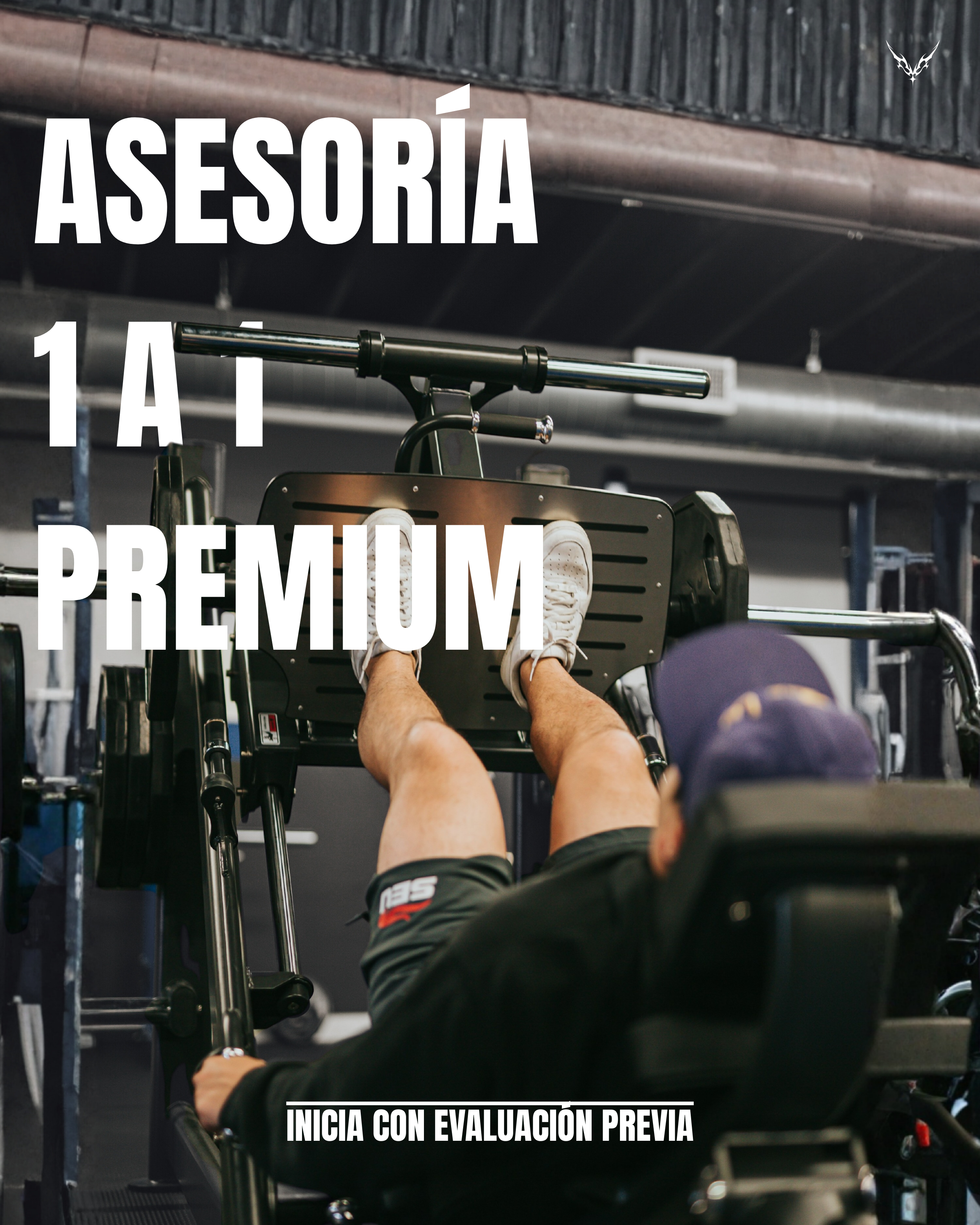 ASESORÍA 1 A 1 · PREMIUM
