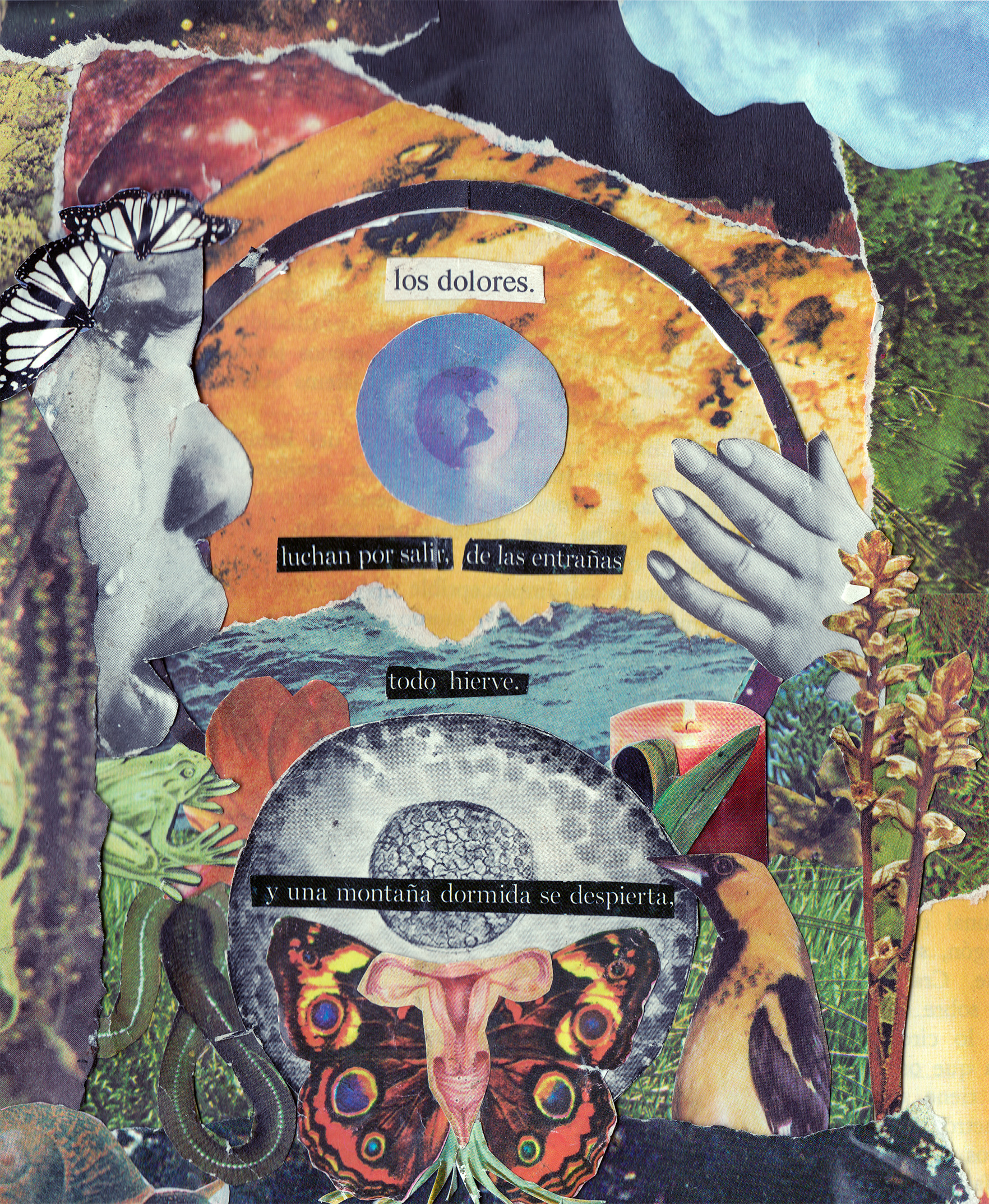 Dolor - Esperanza Collage