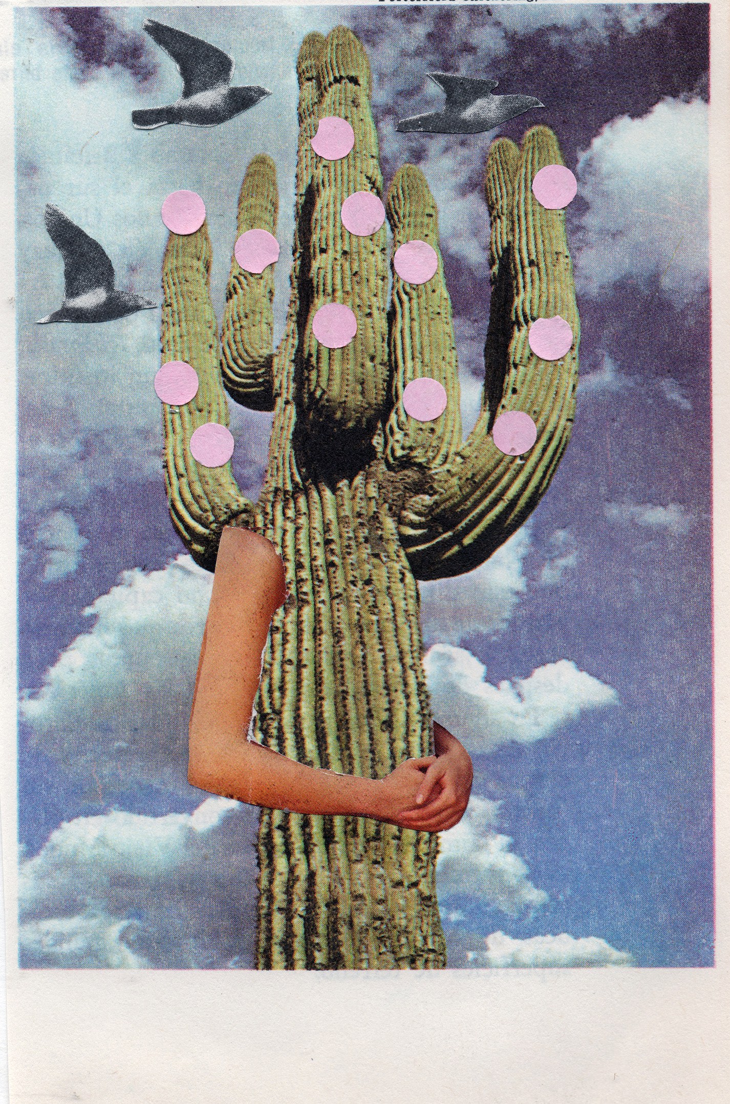 Mujer Cactus Collage