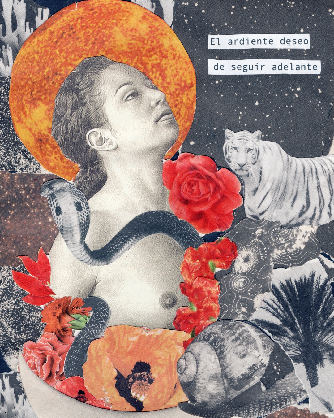 Collage - Ardiente Deseo
