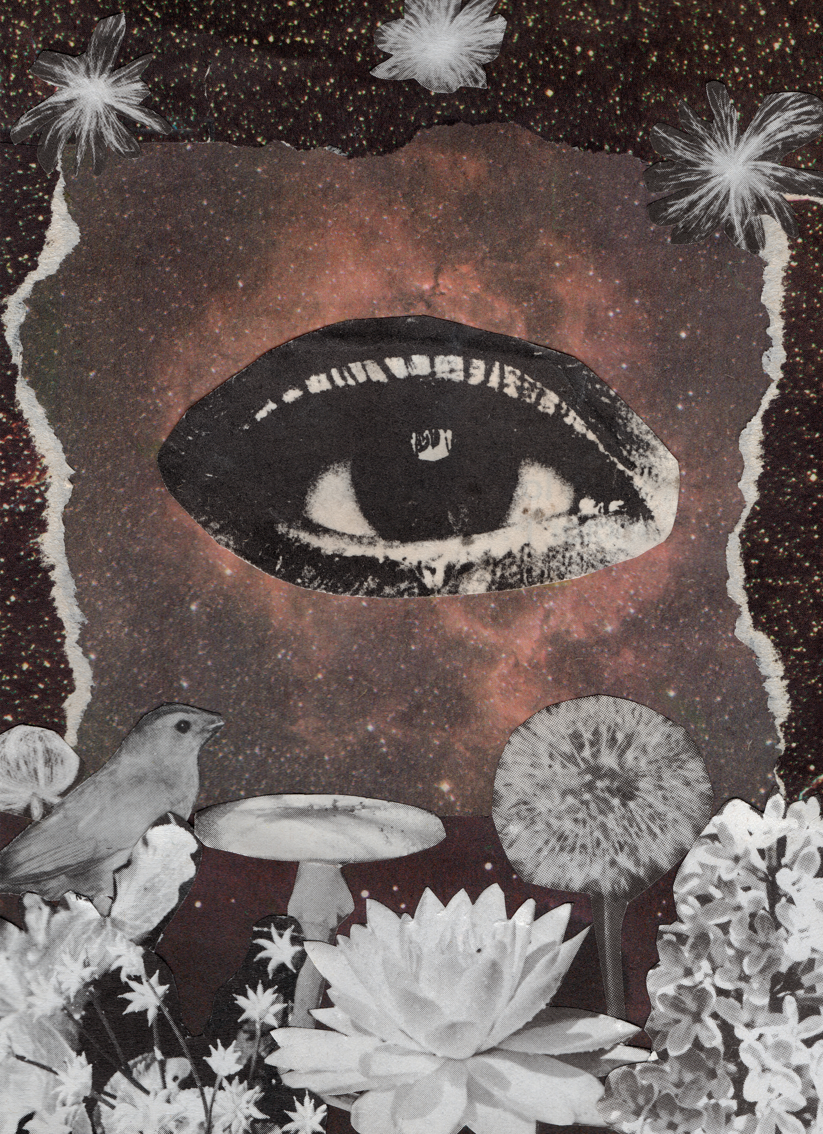 Collage Confía