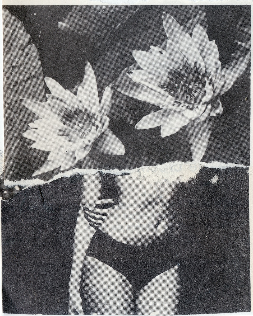 Body Collage